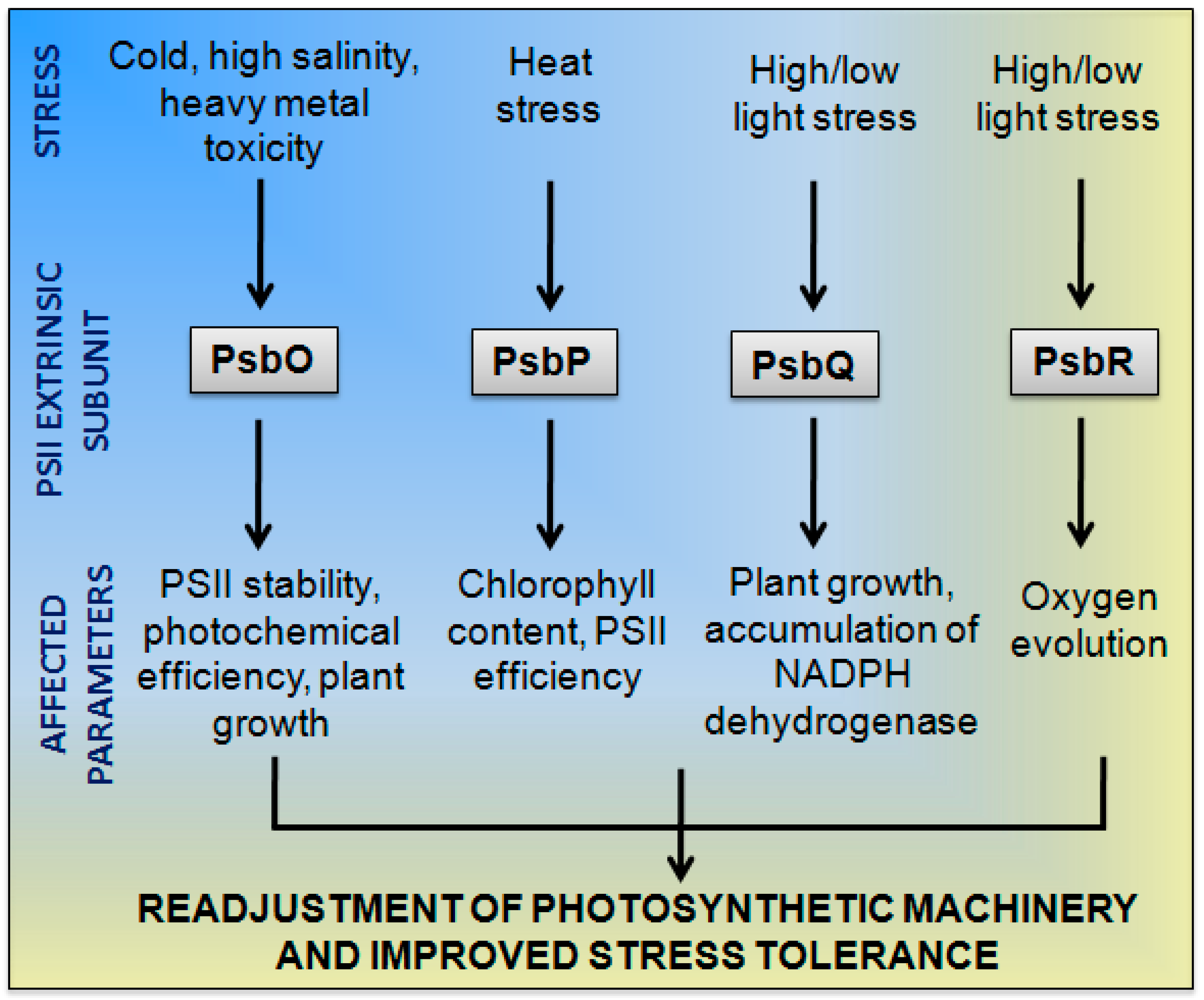 Plants 07 00100 g002
