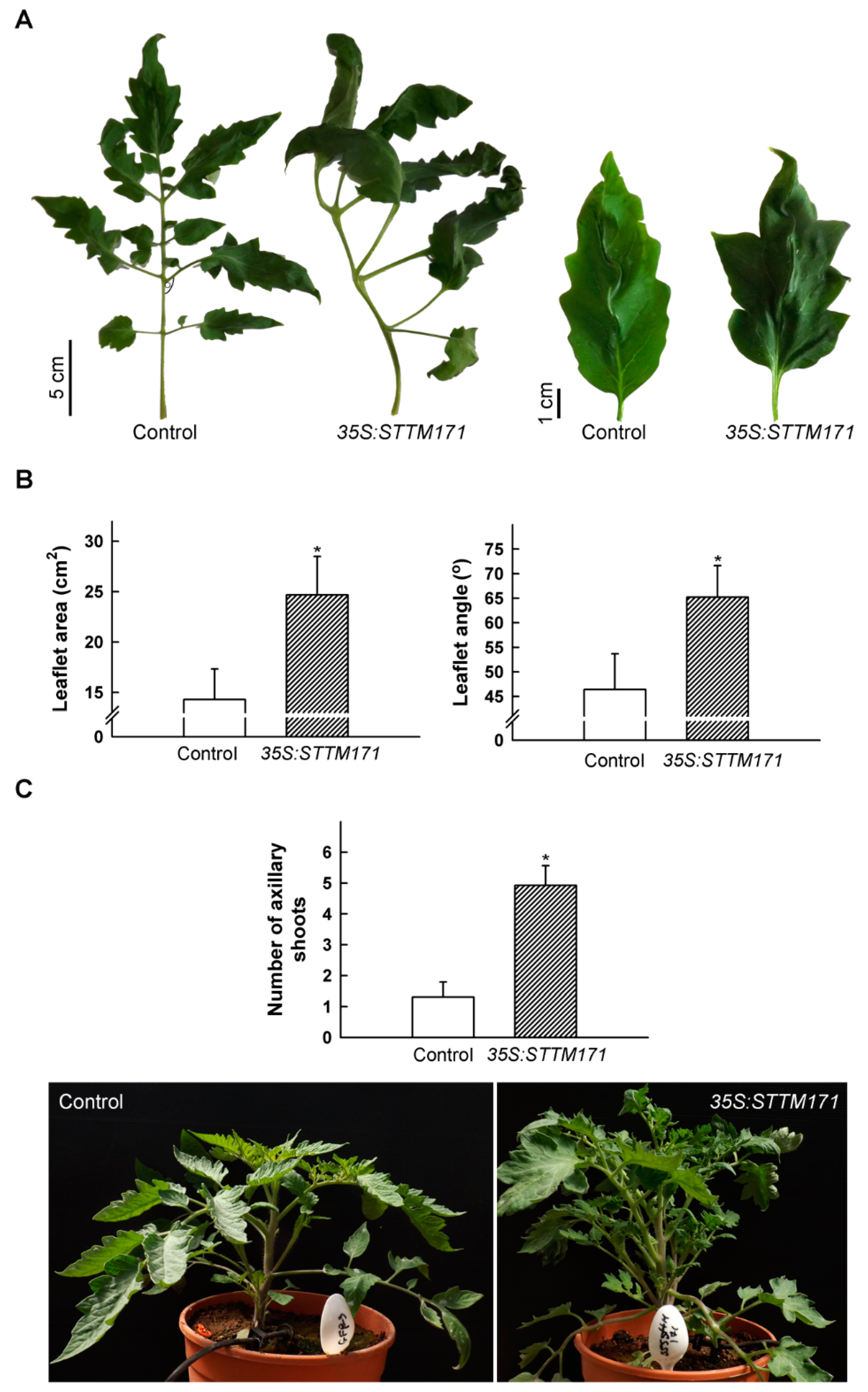 Plants 08 00010 g003