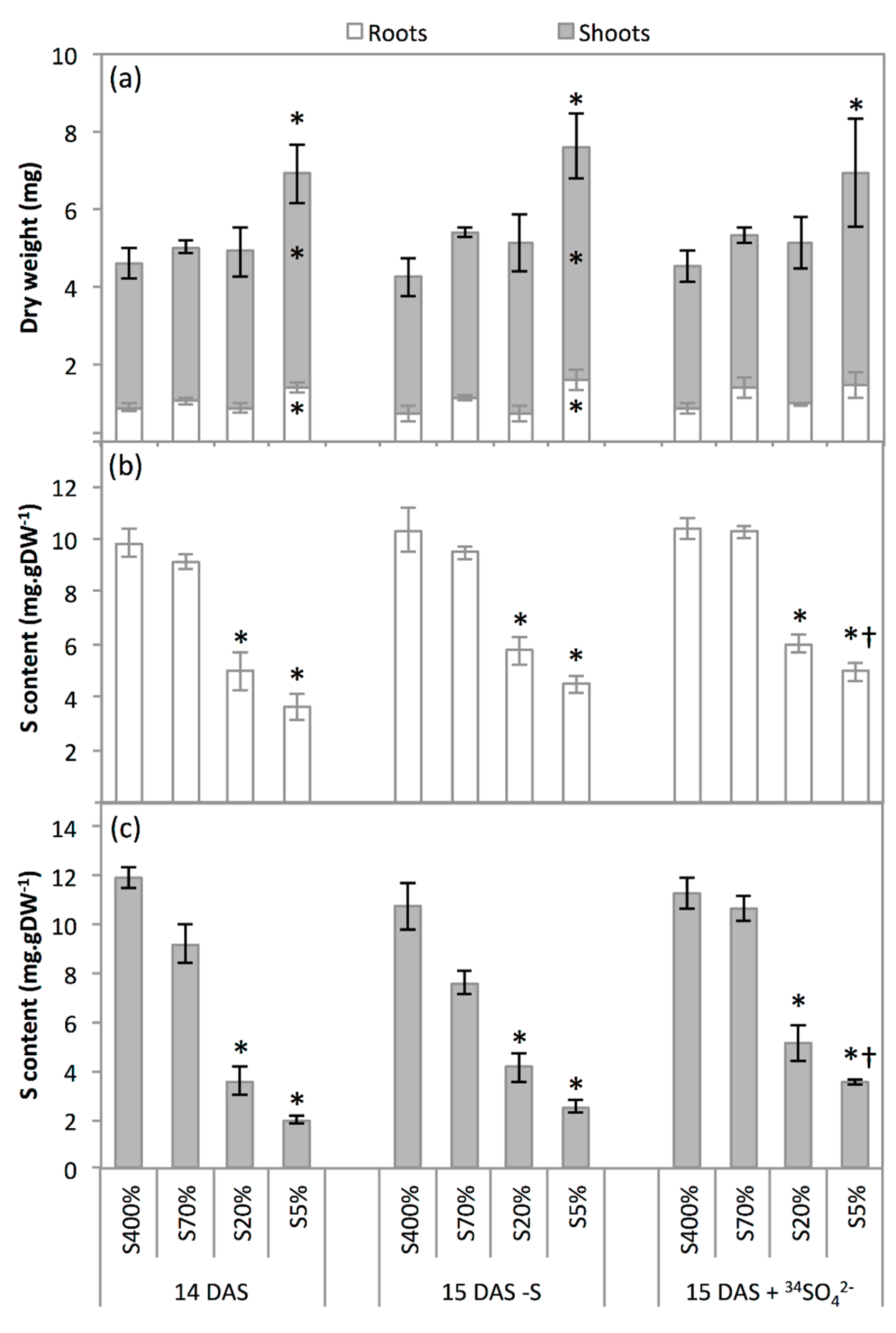 Plants 08 00012 g002