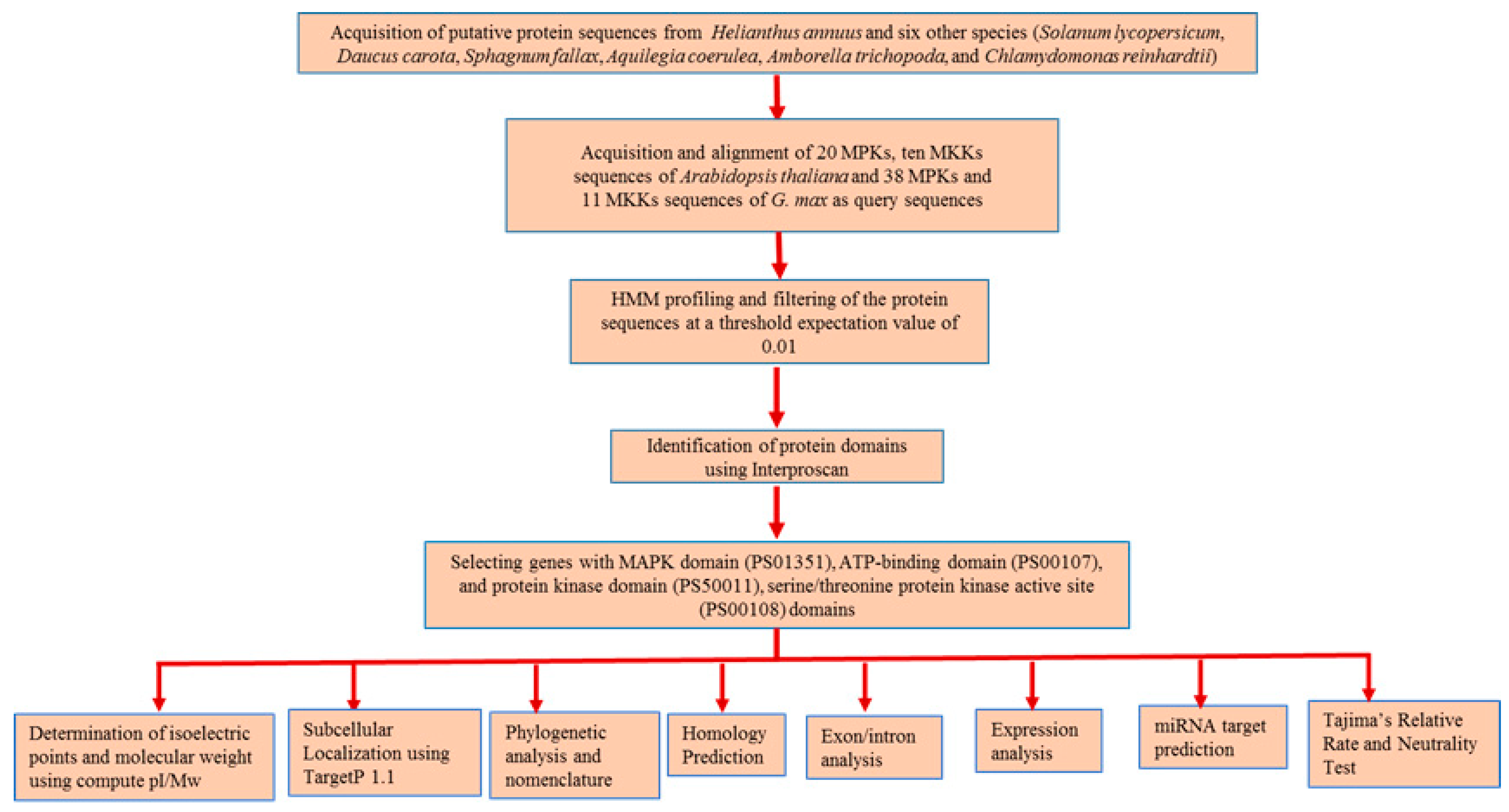 Plants 08 00028 g001