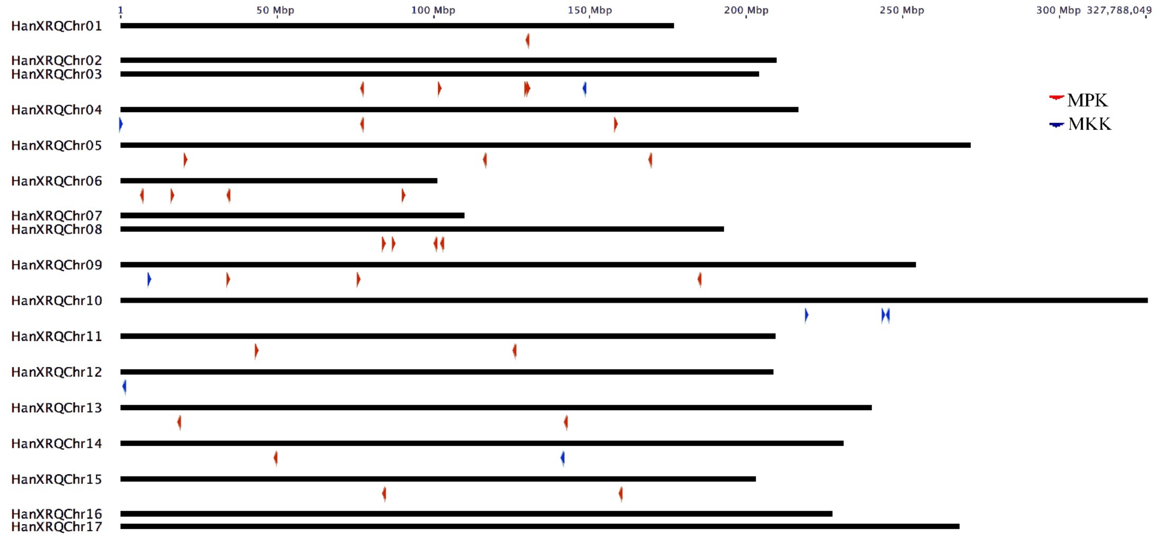 Plants 08 00028 g002
