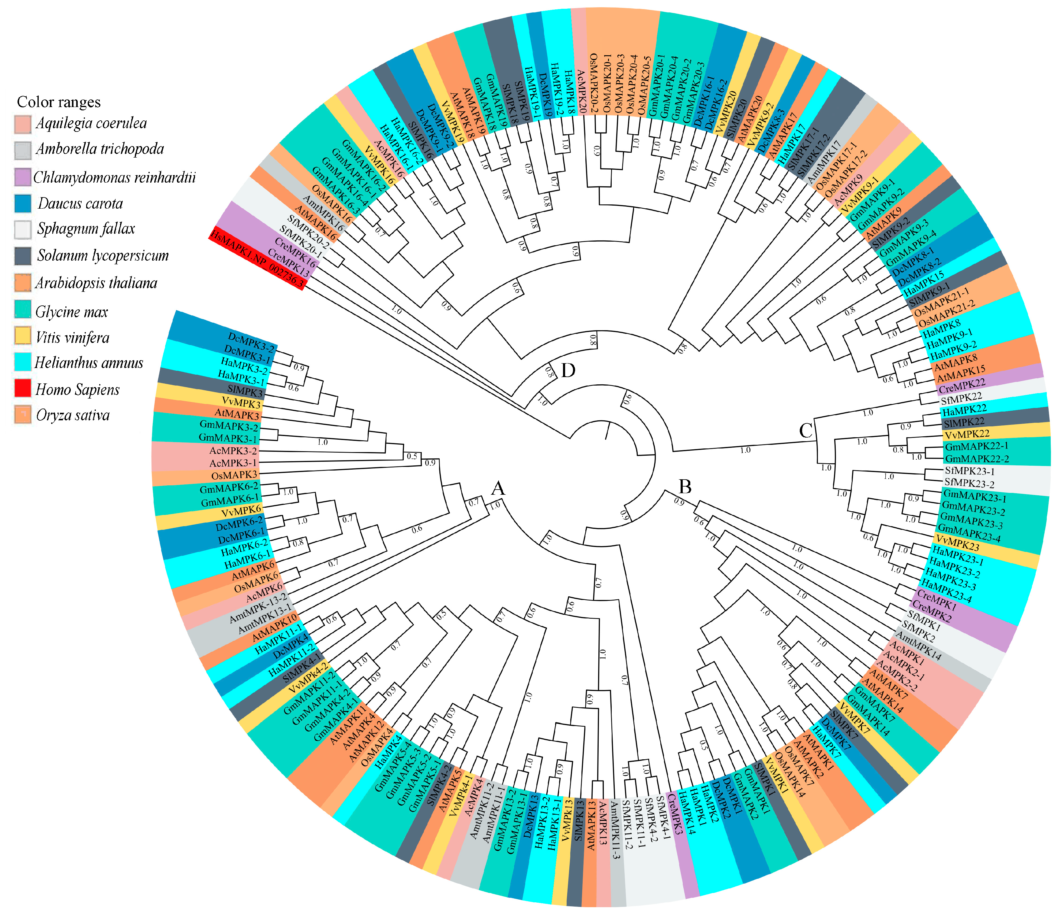 Plants 08 00028 g003