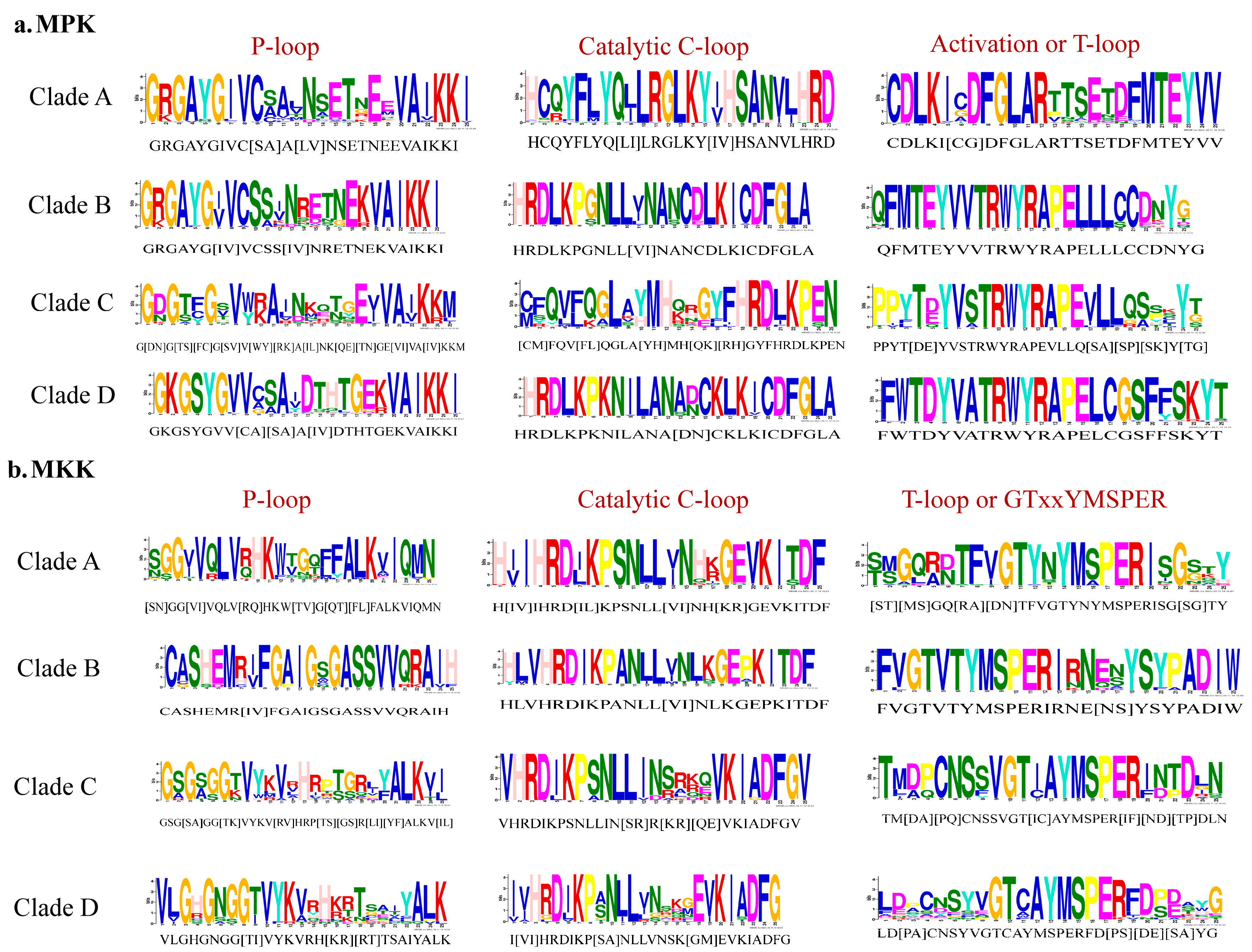 Plants 08 00028 g004