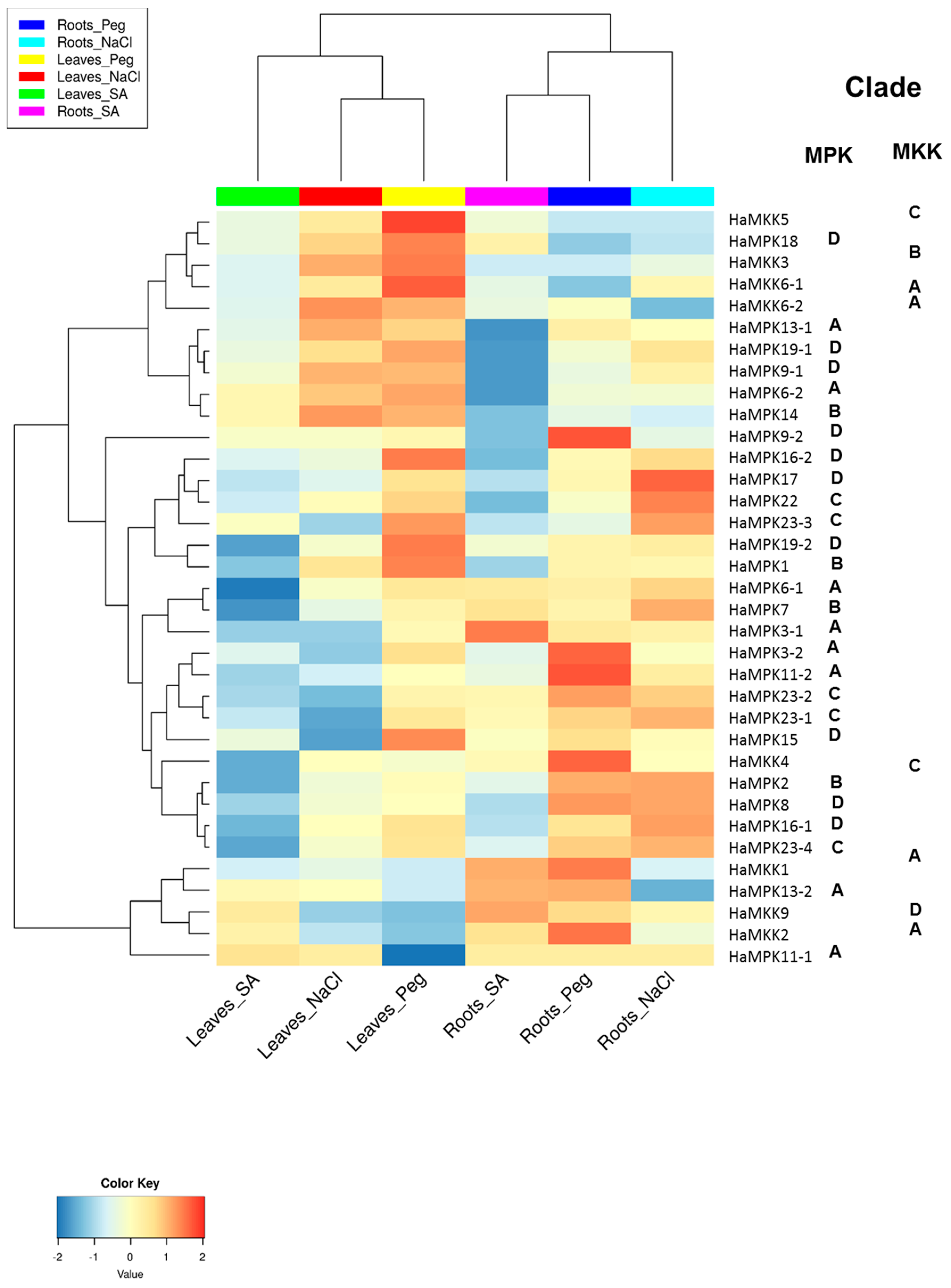 Plants 08 00028 g006