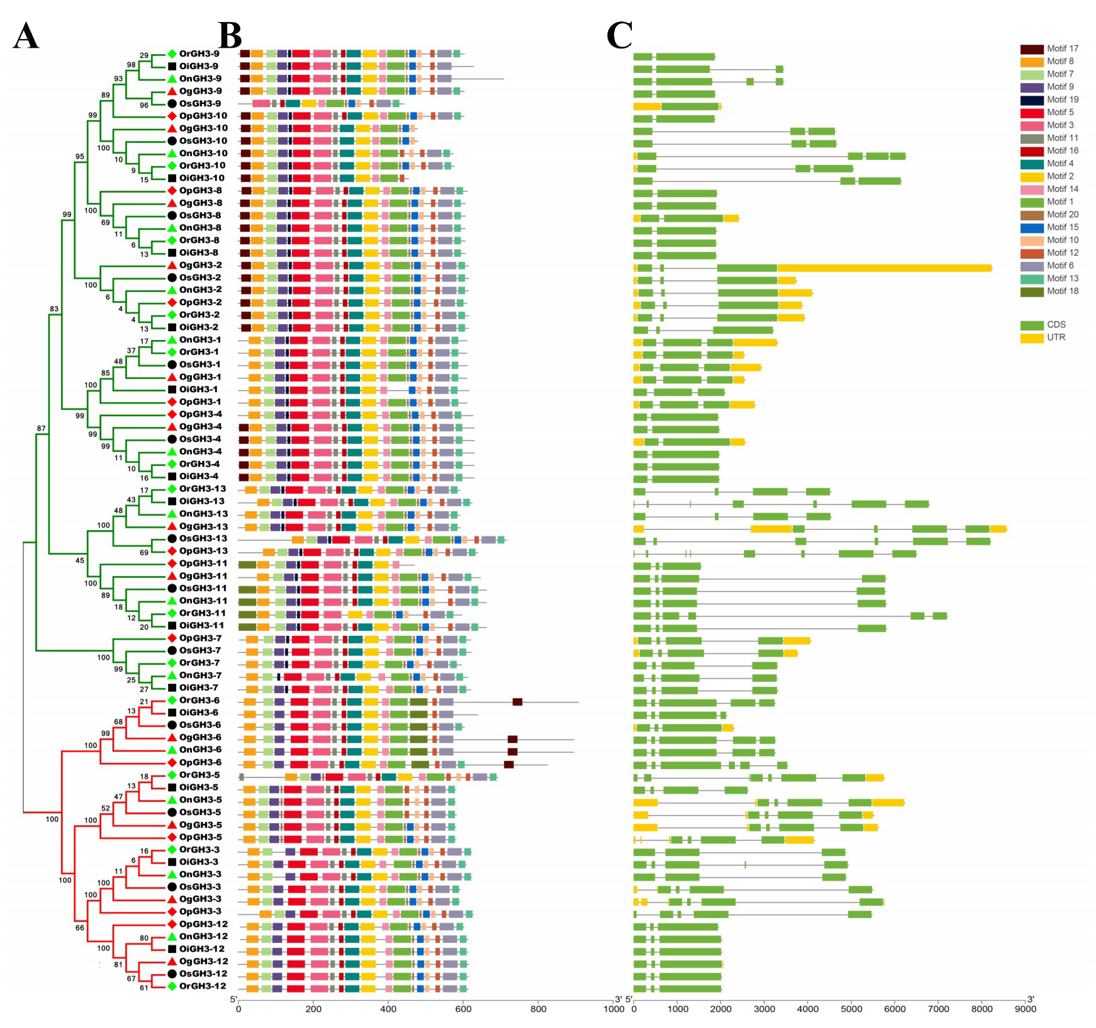Plants 08 00030 g002
