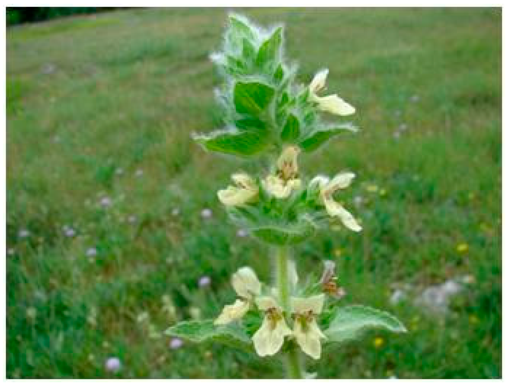 Plants 08 00032 g007