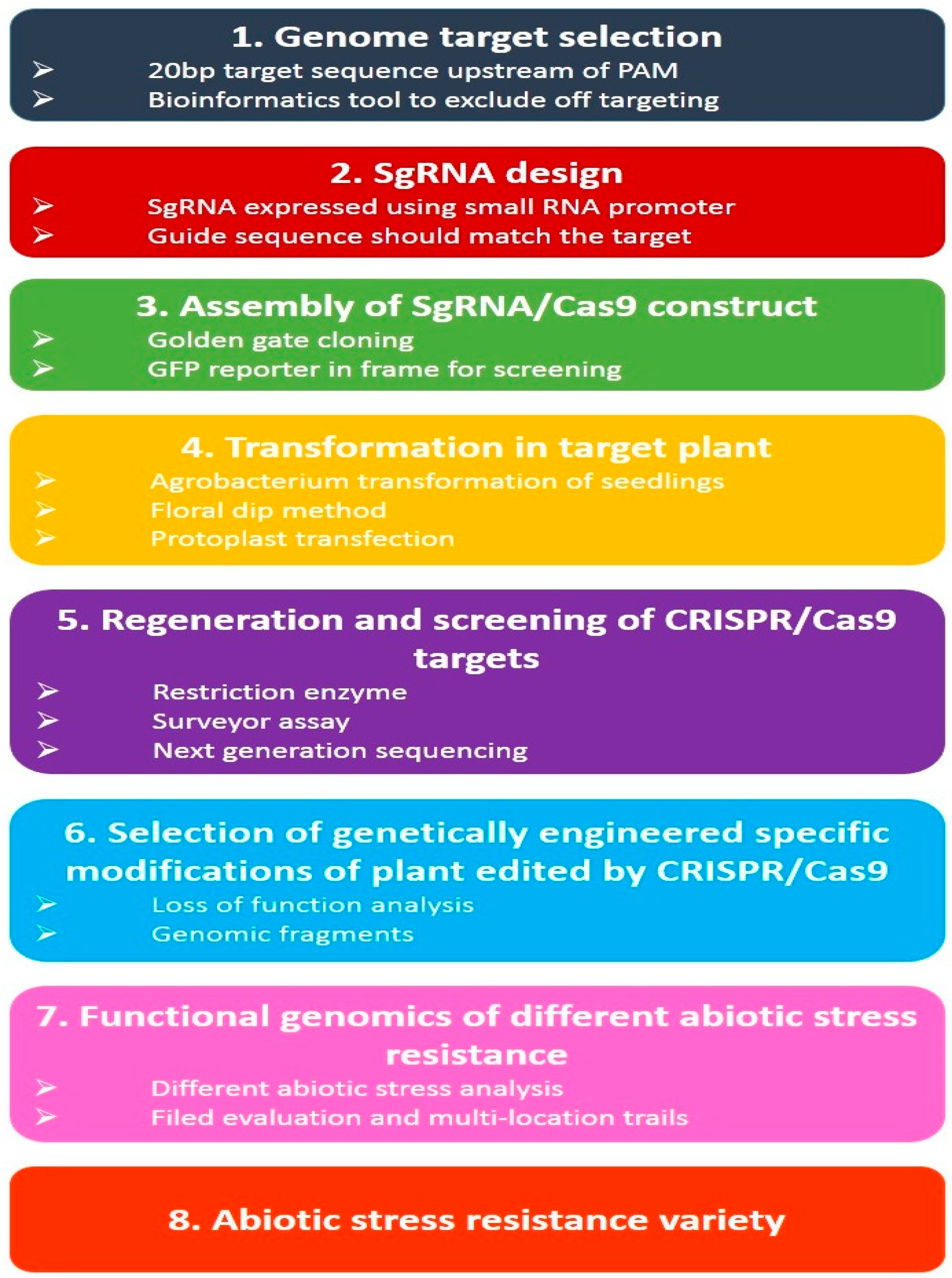 Plants 08 00034 g007