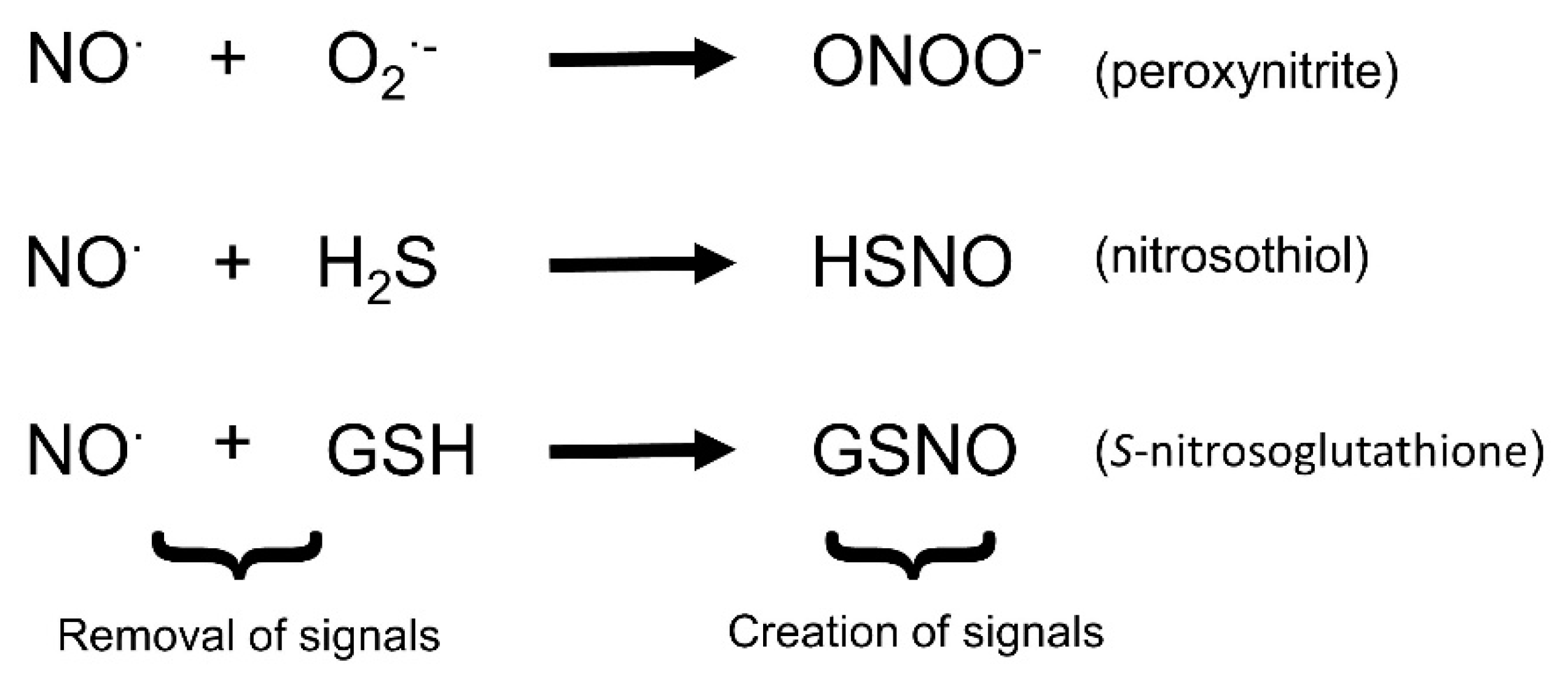 Plants 08 00041 g003