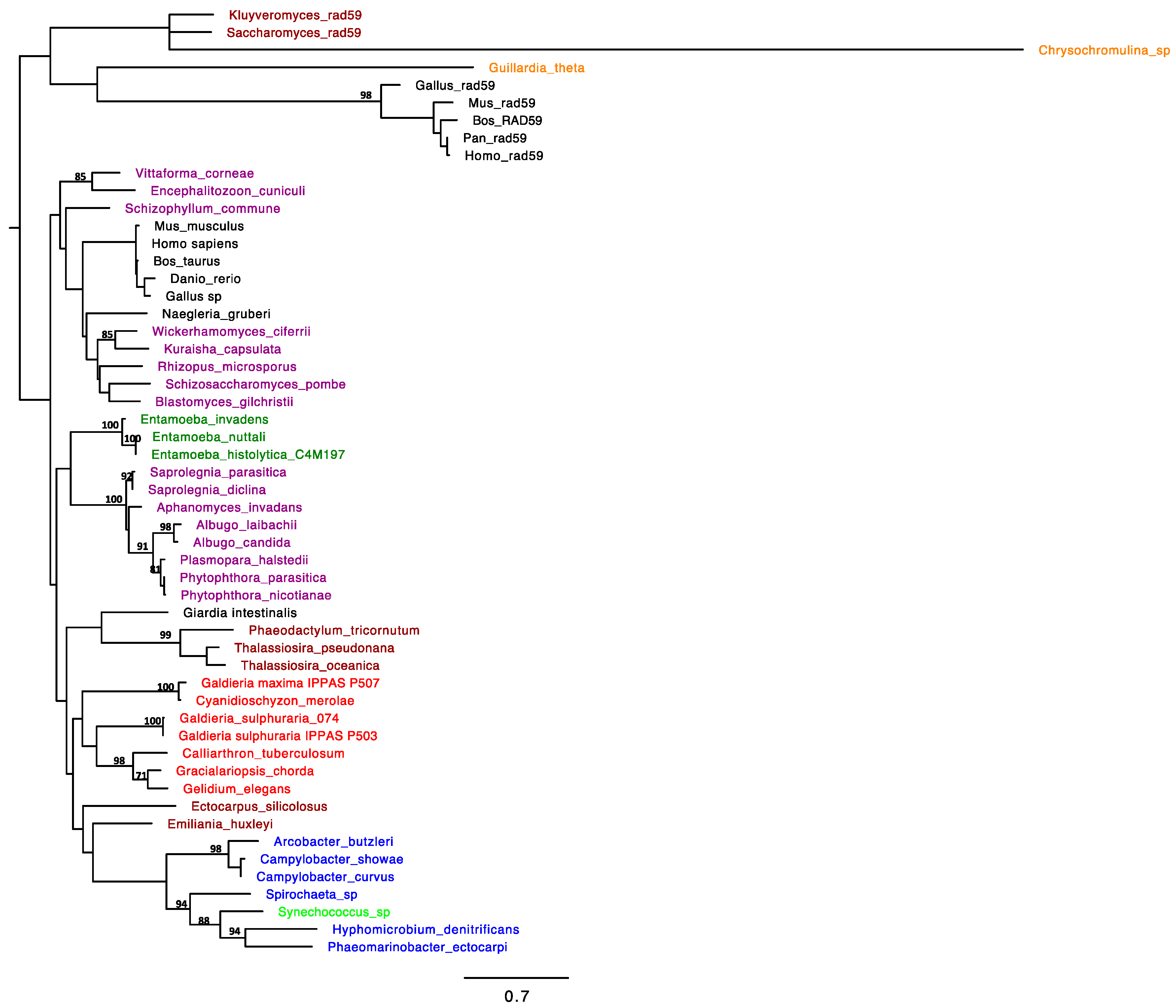 Plants 08 00046 g001 Plants 08 00046 g001