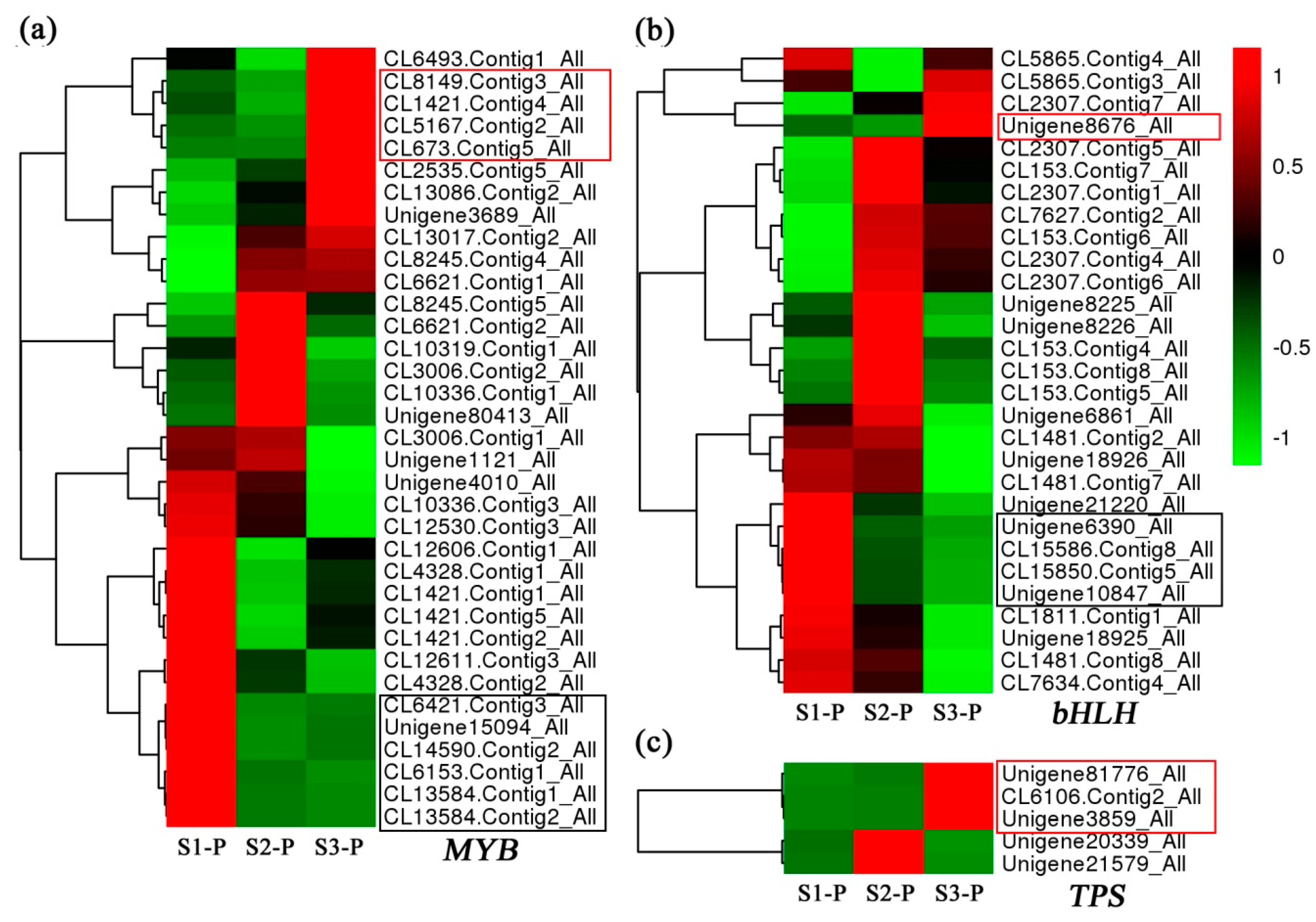 Plants 08 00053 g005