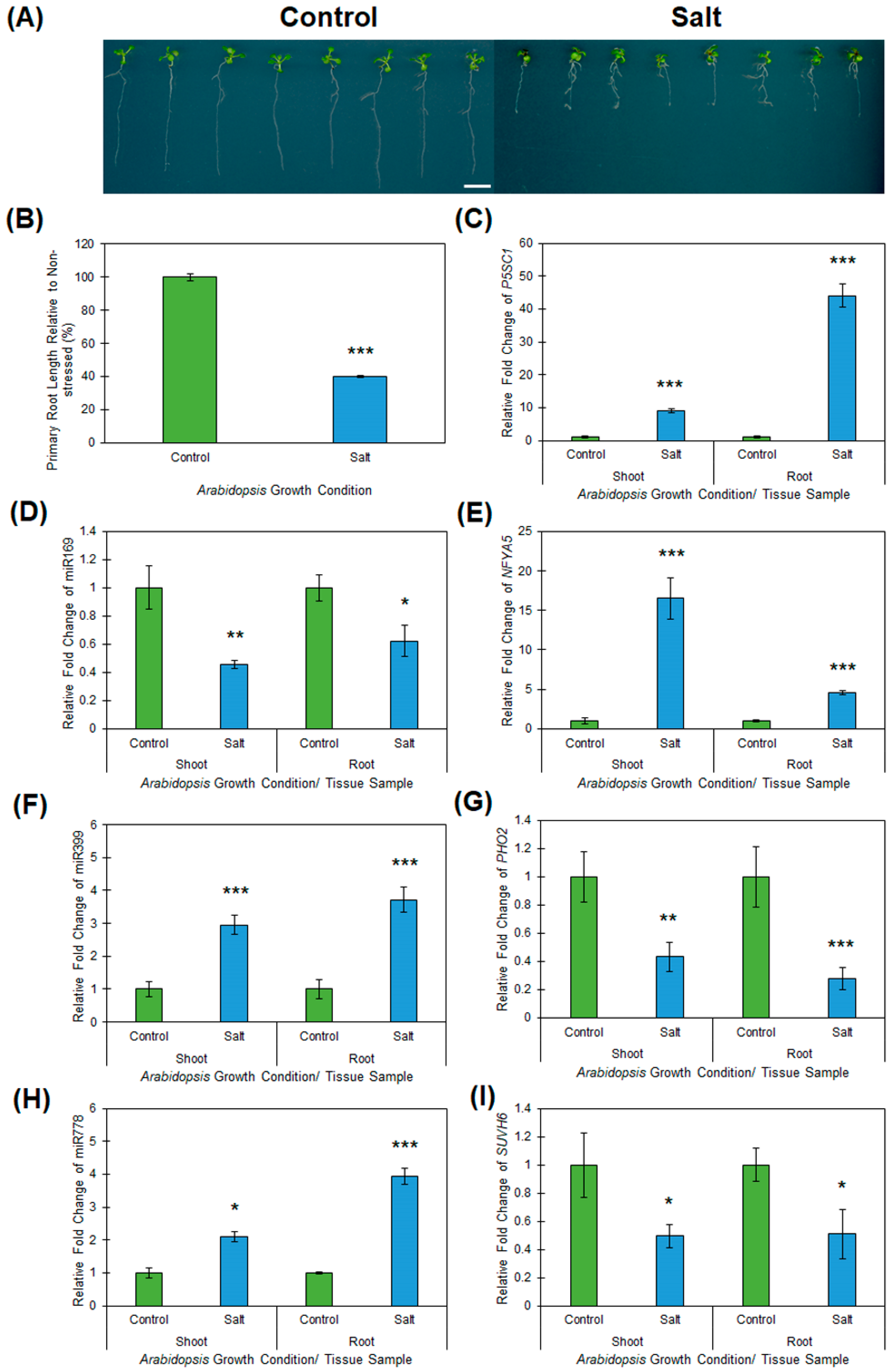Plants 08 00058 g005