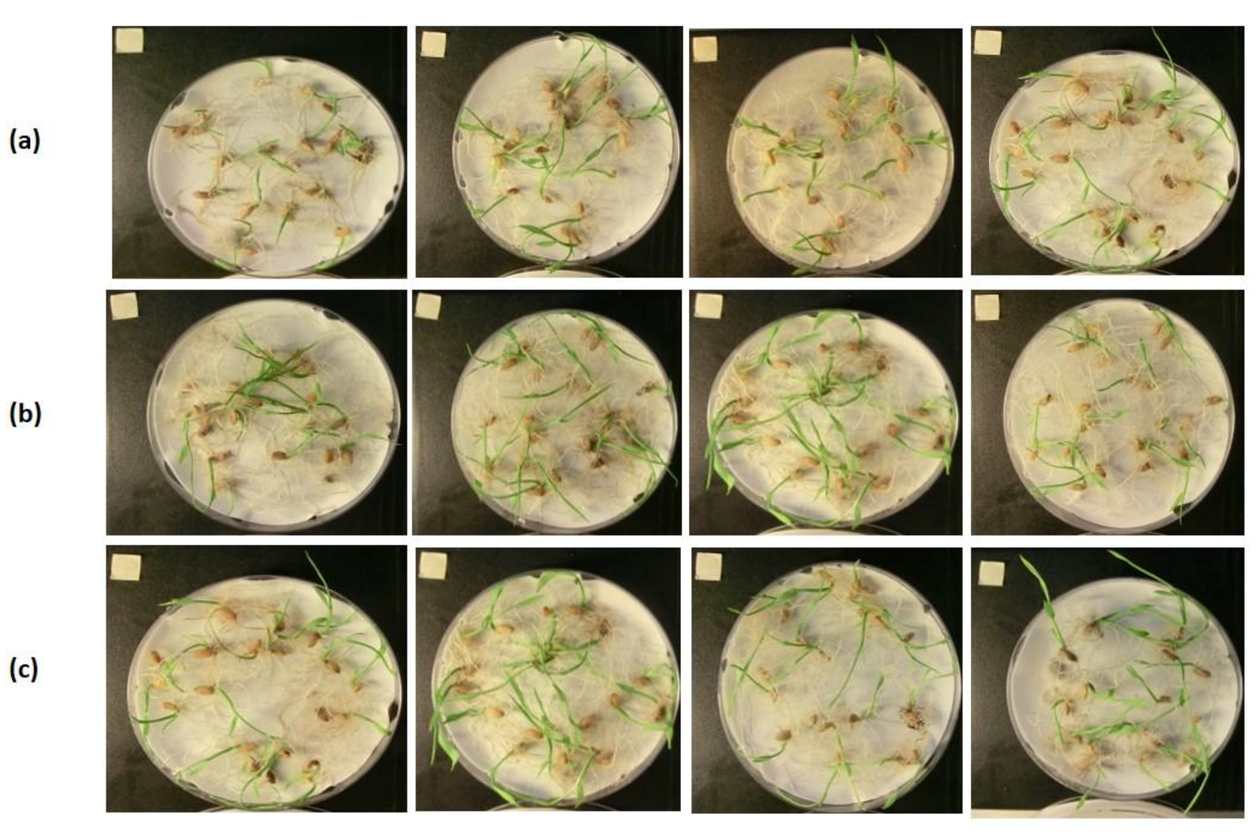 Plants 08 00059 g004