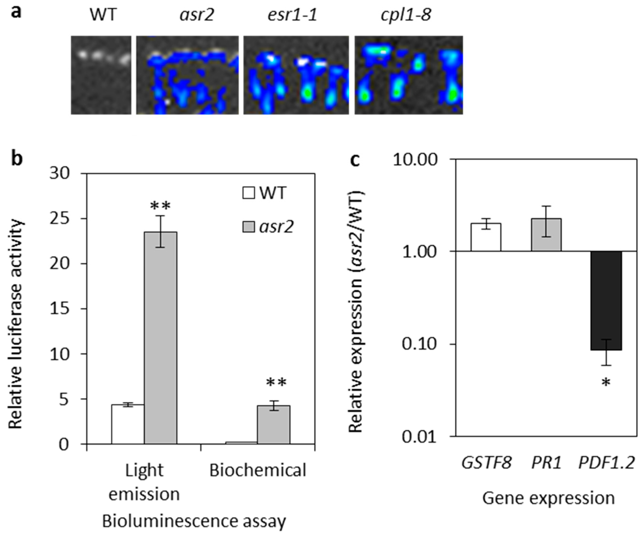 Plants 08 00060 g001
