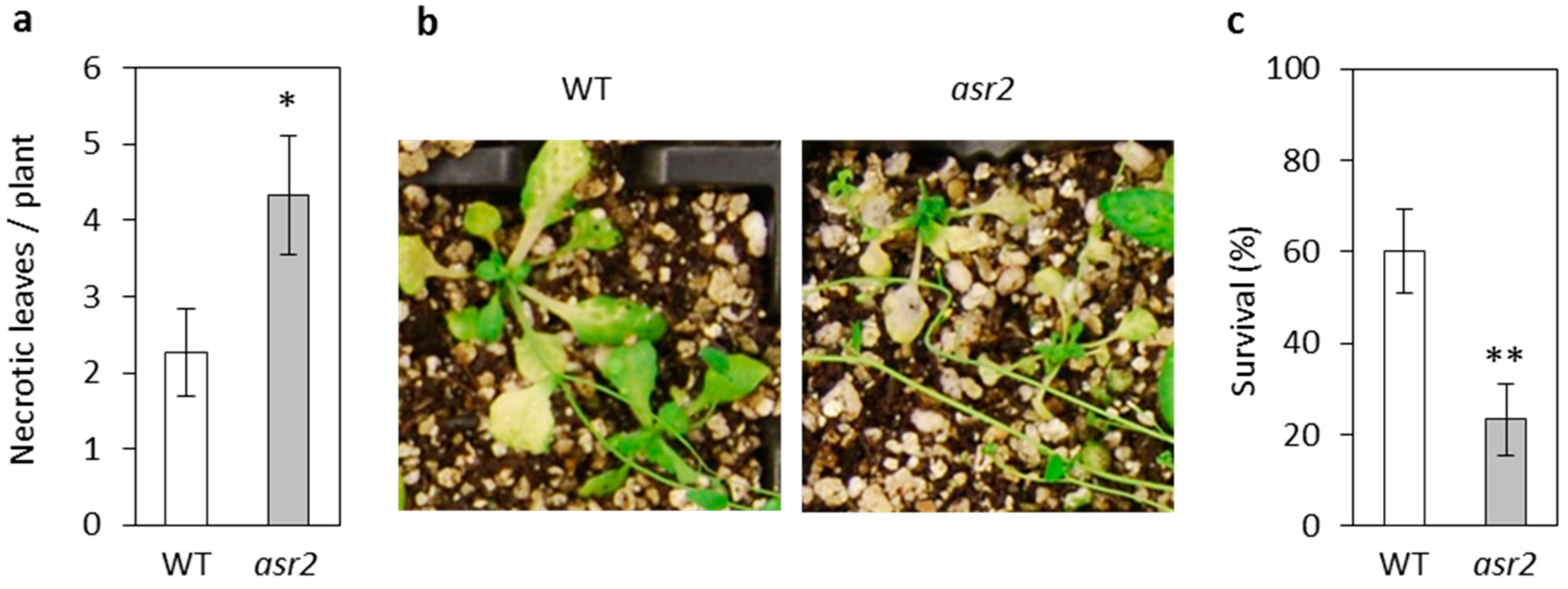 Plants 08 00060 g003