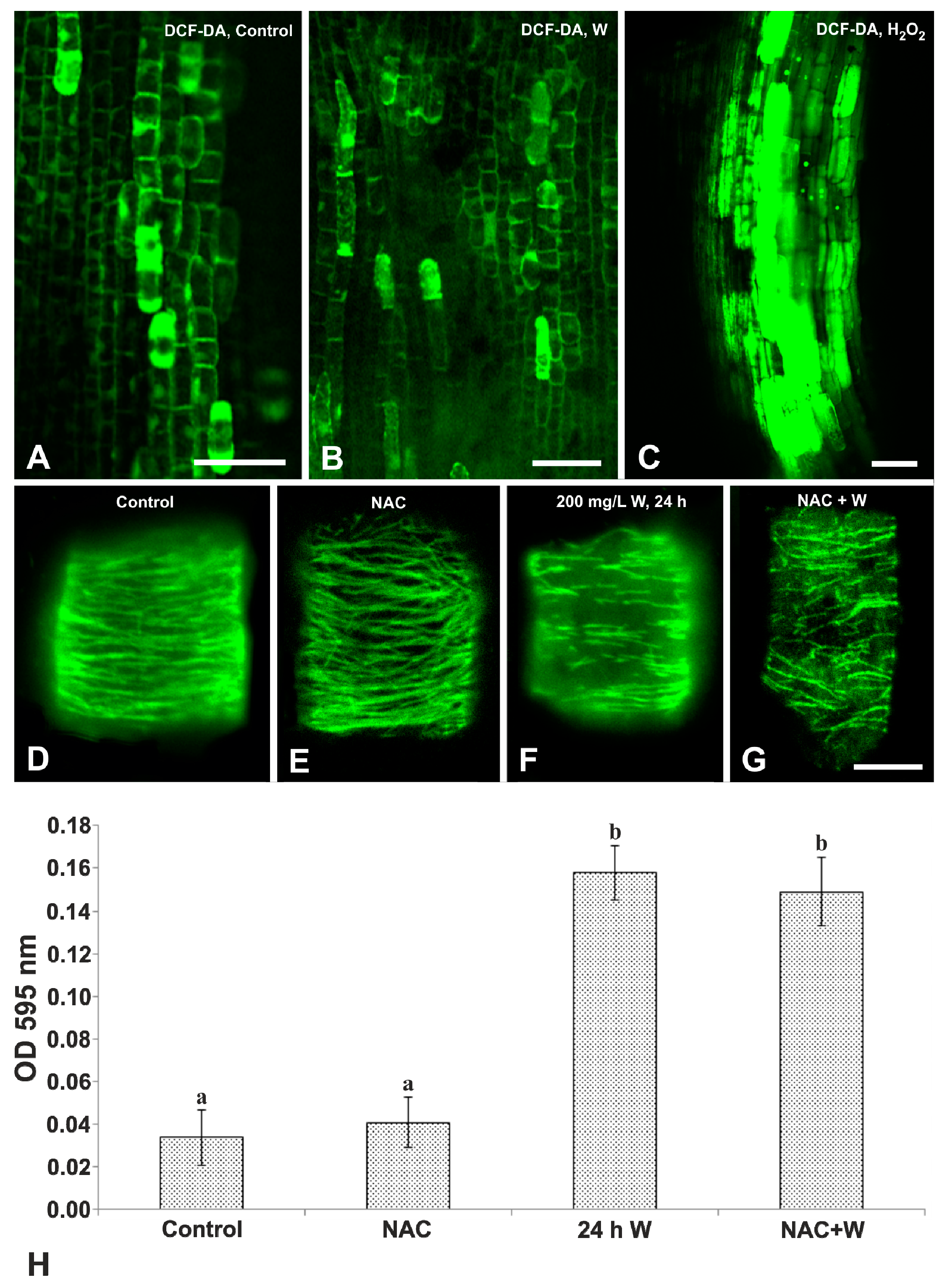 Plants 08 00062 g007
