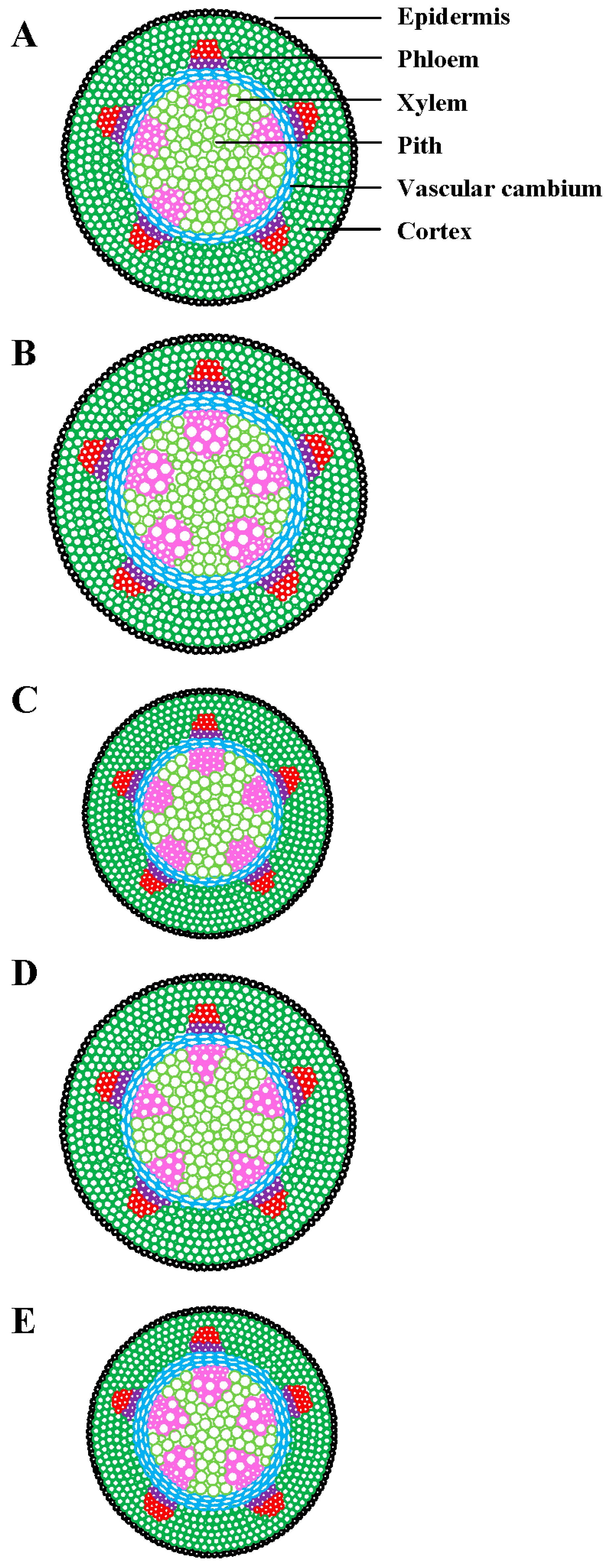 Plants 08 00065 g003