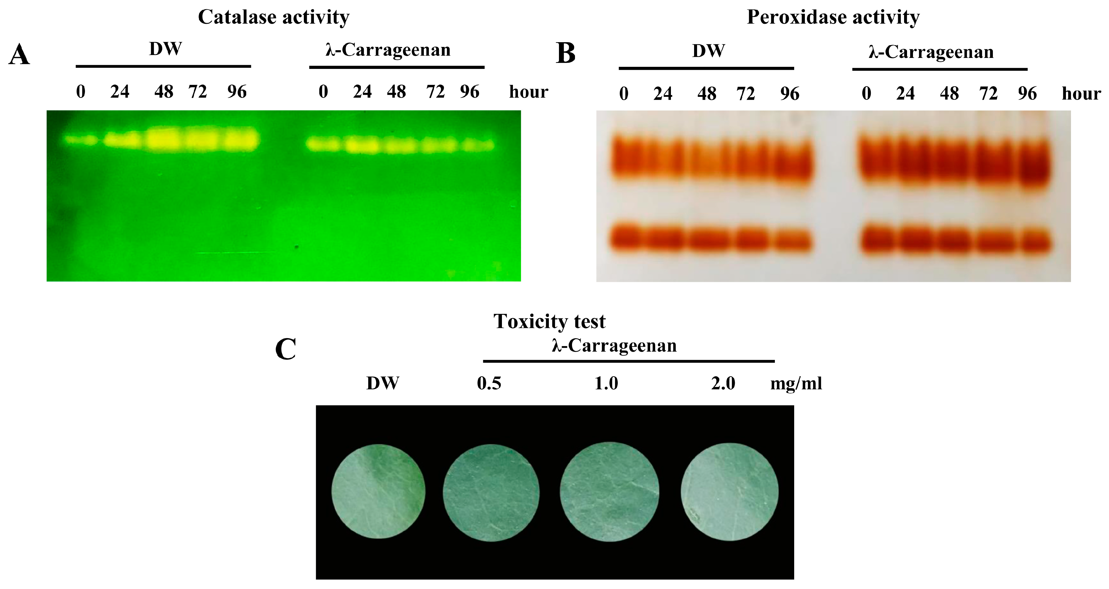 Plants 08 00073 g008