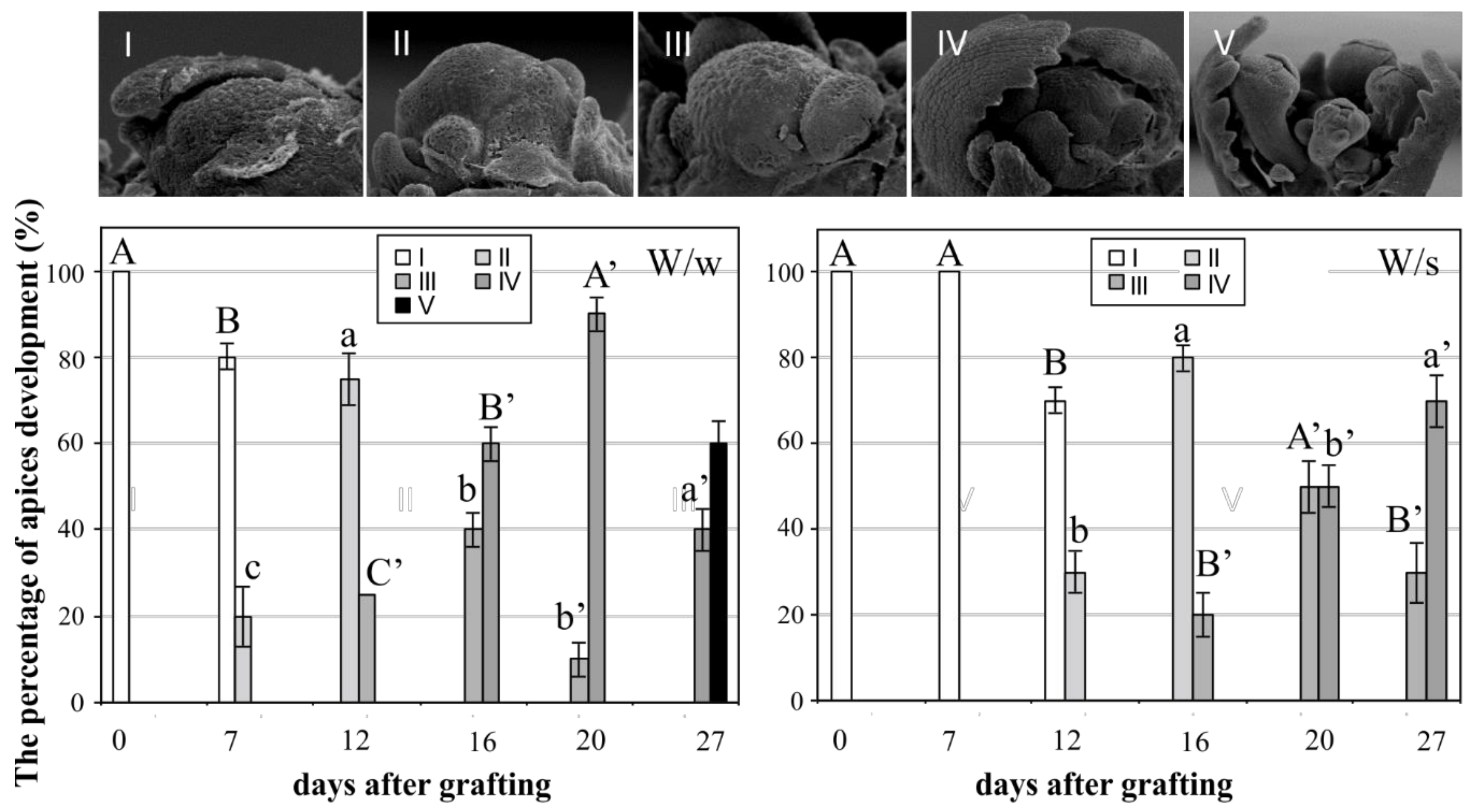 Plants 08 00078 g001