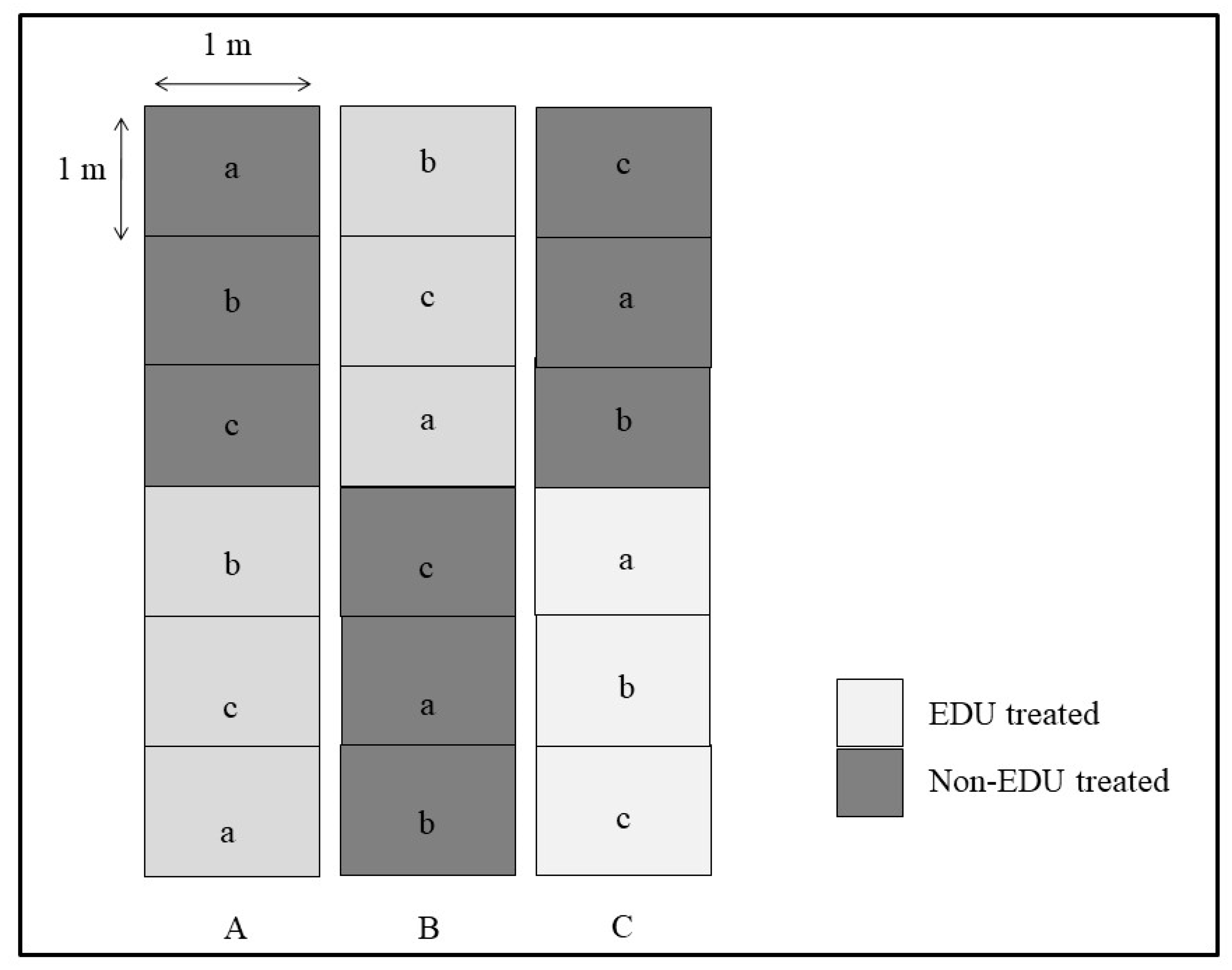Plants 08 00080 g005