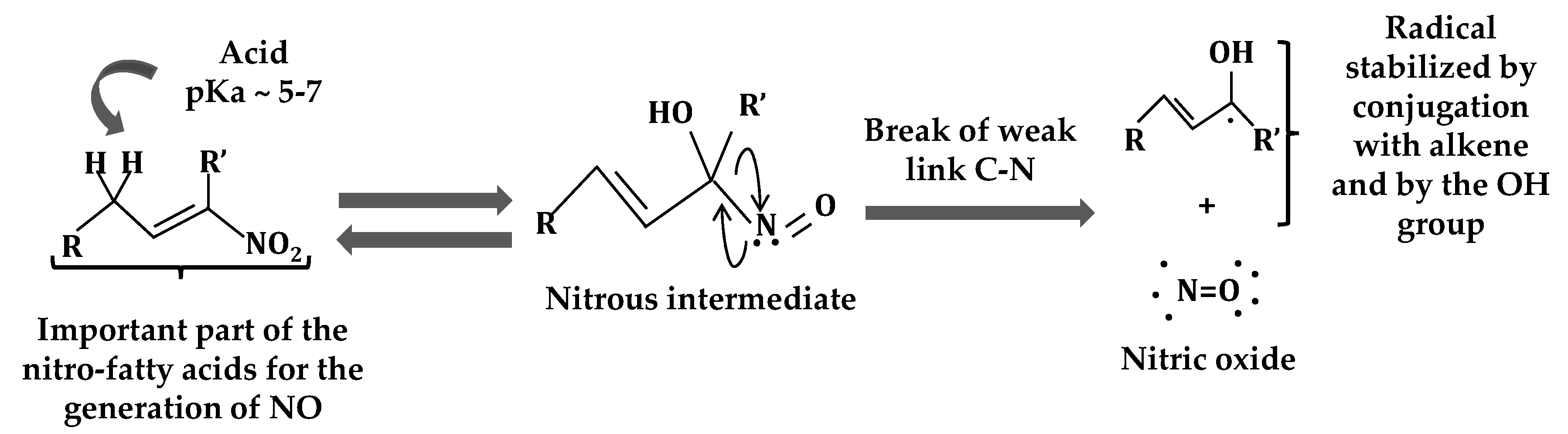 Plants 08 00082 g002