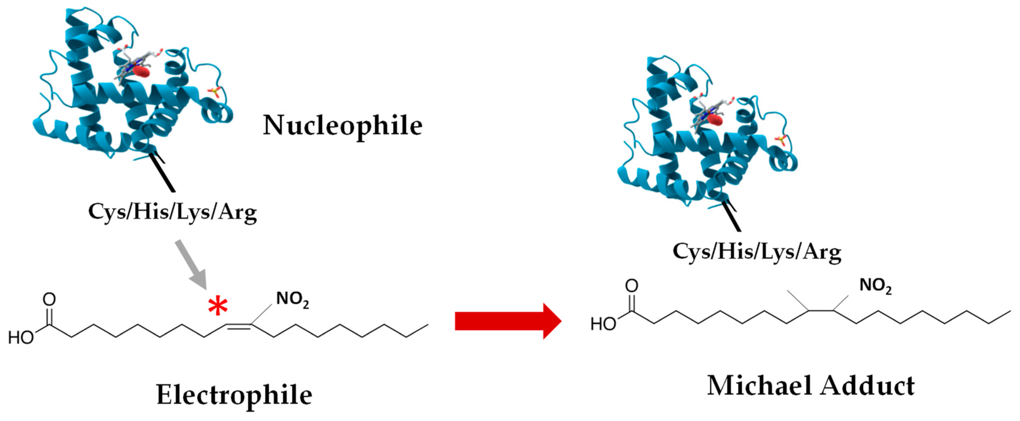 Plants 08 00082 g004