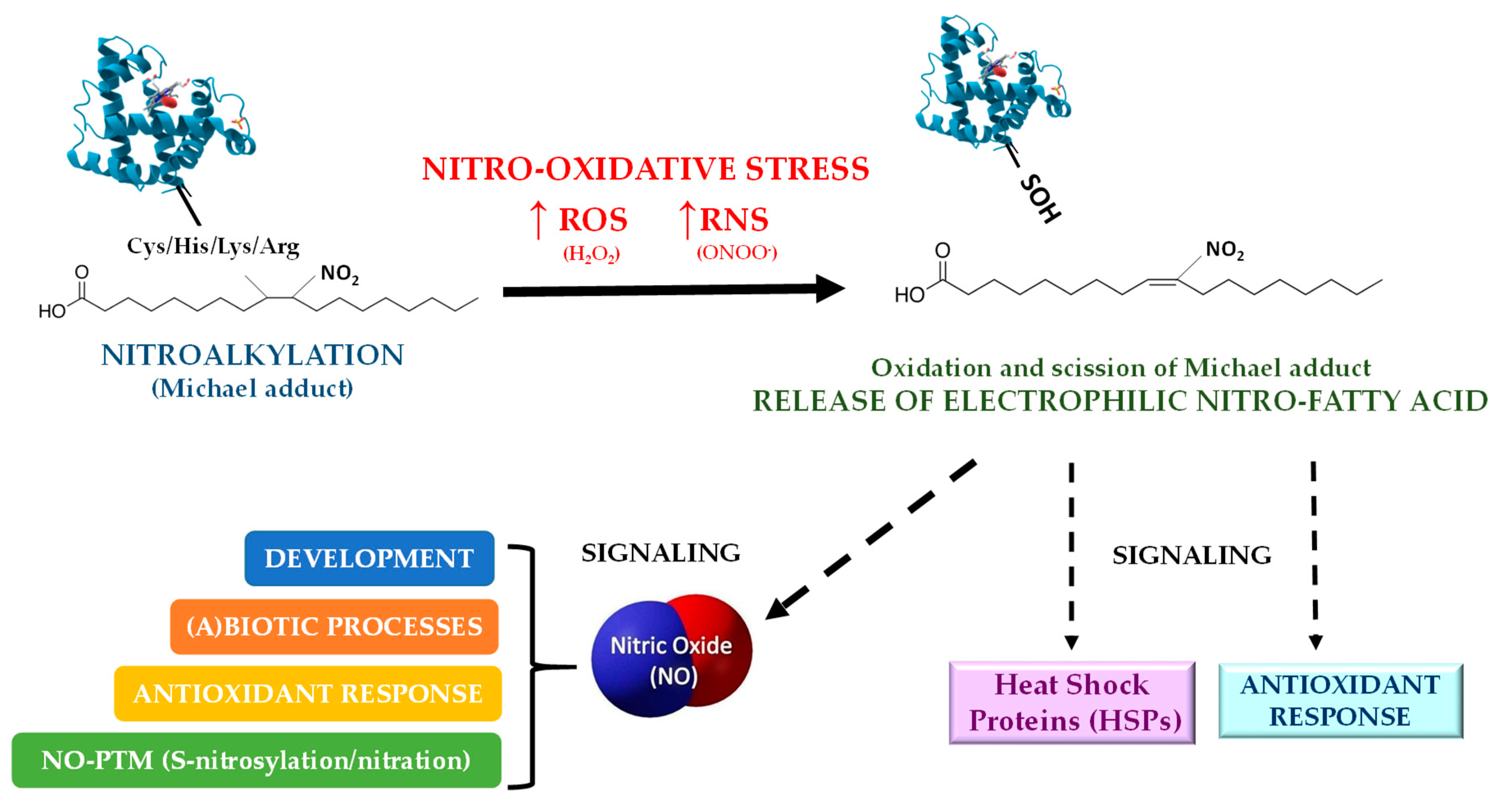 Plants 08 00082 g008