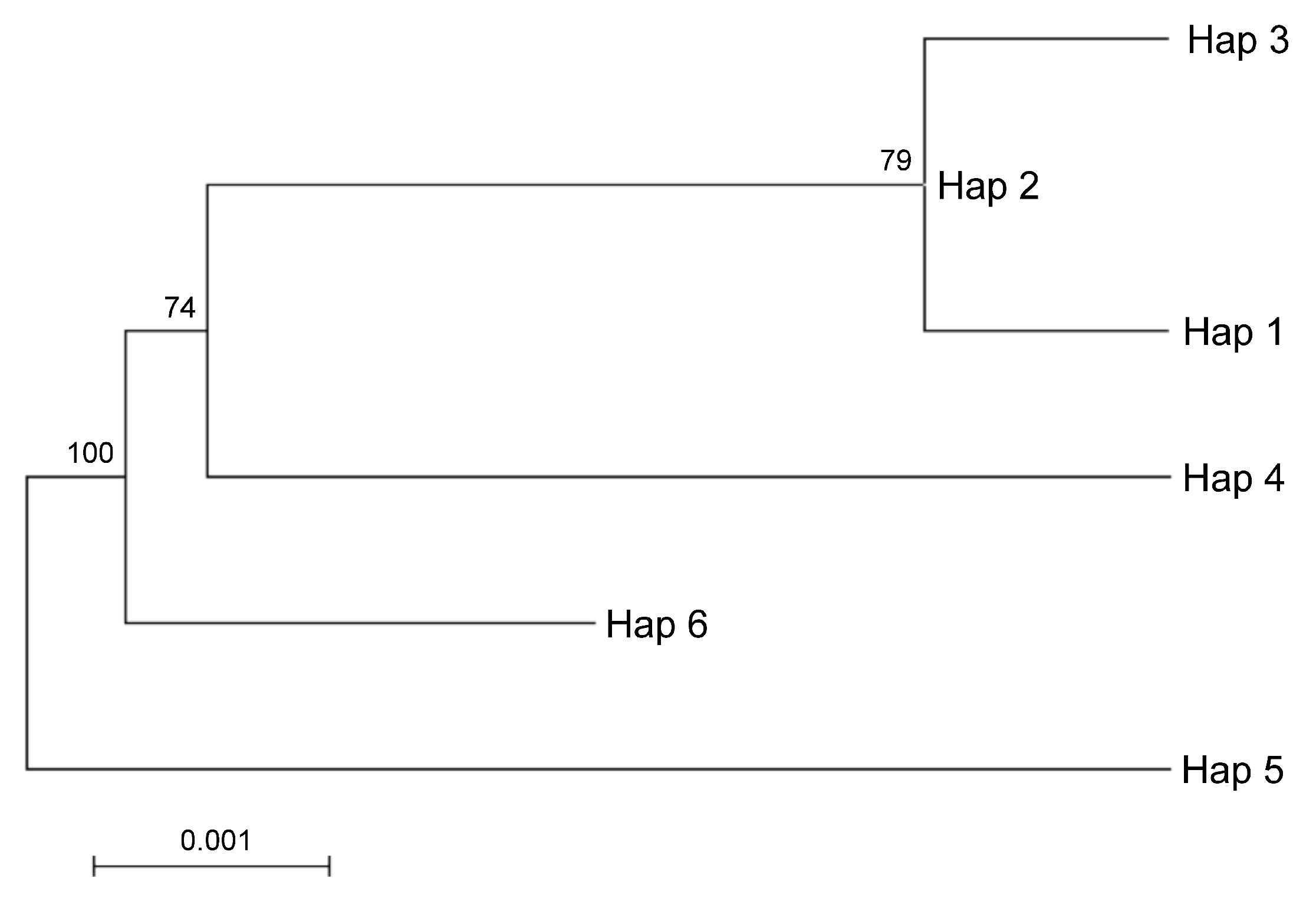 Plants 08 00083 g004