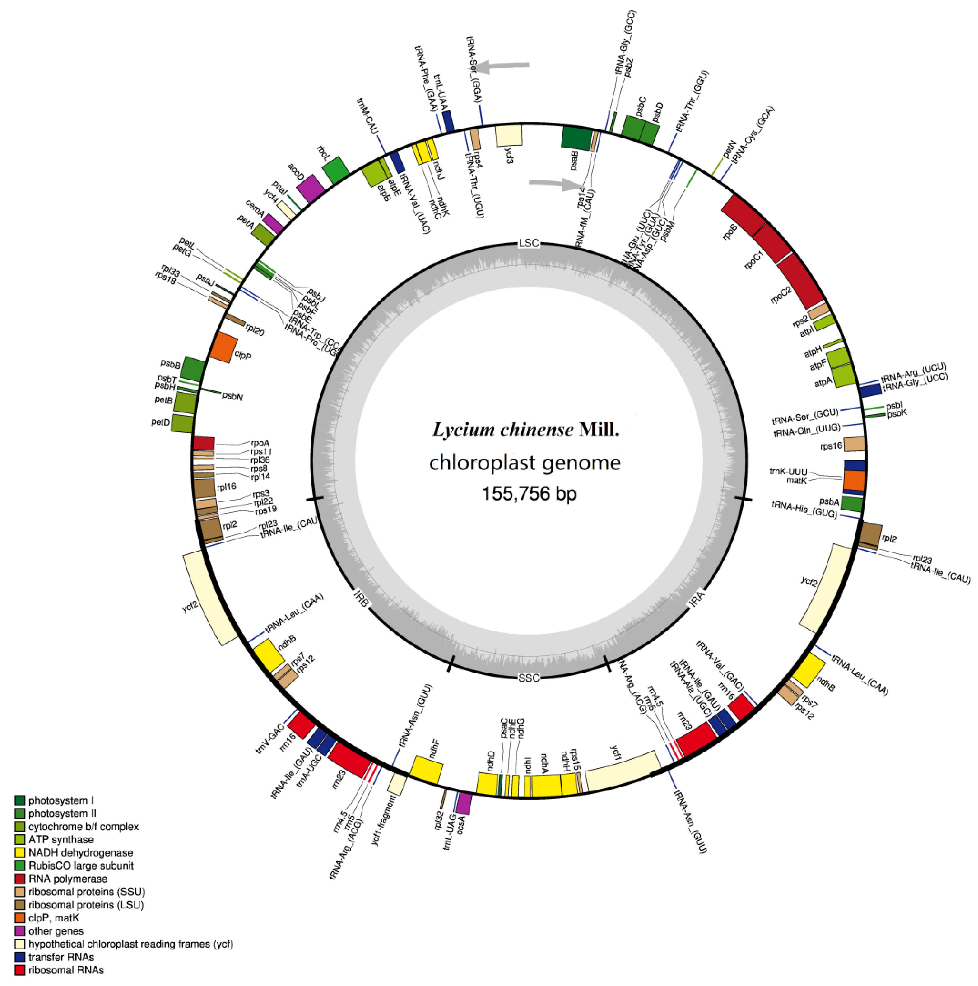 Plants 08 00087 g001