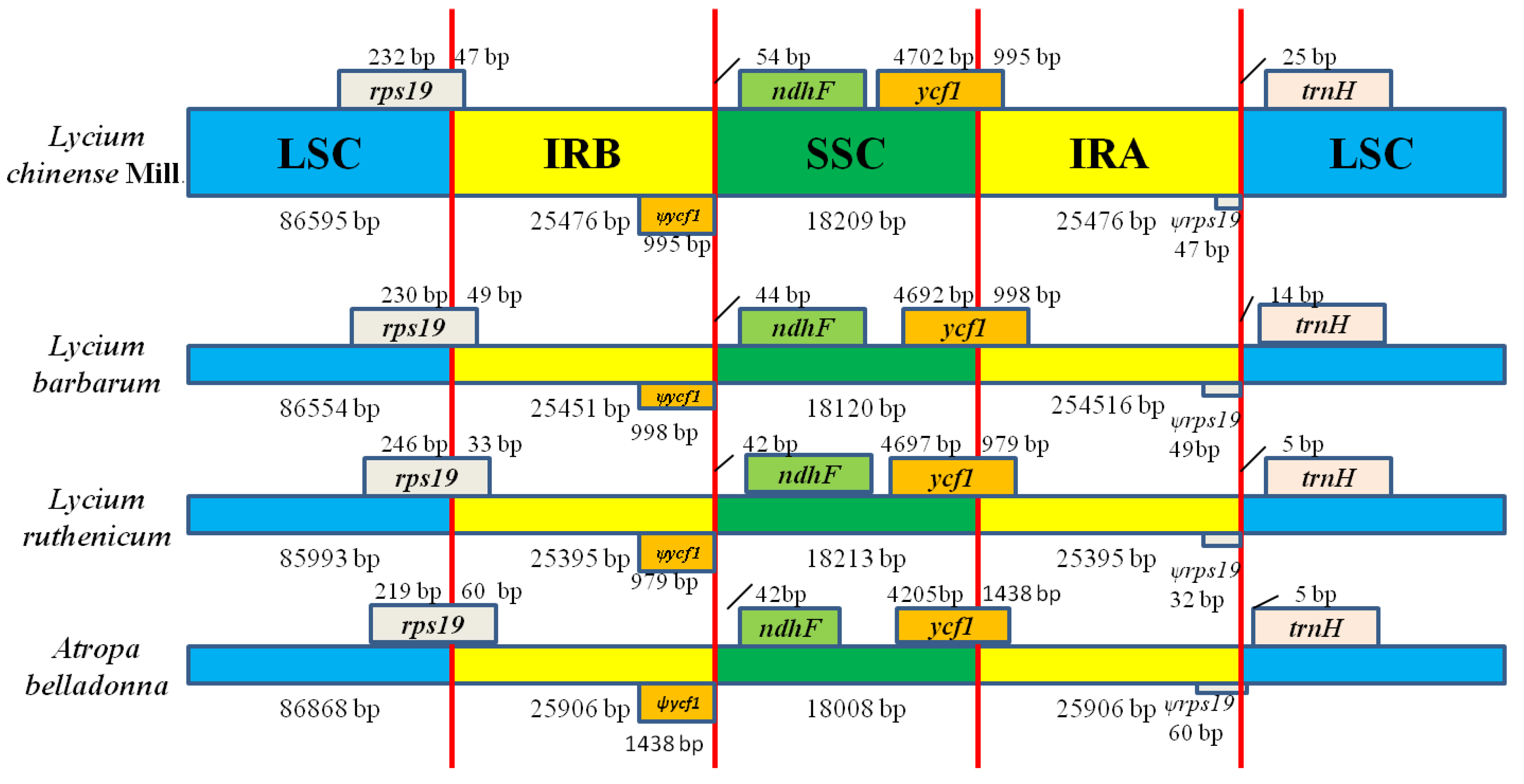 Plants 08 00087 g004