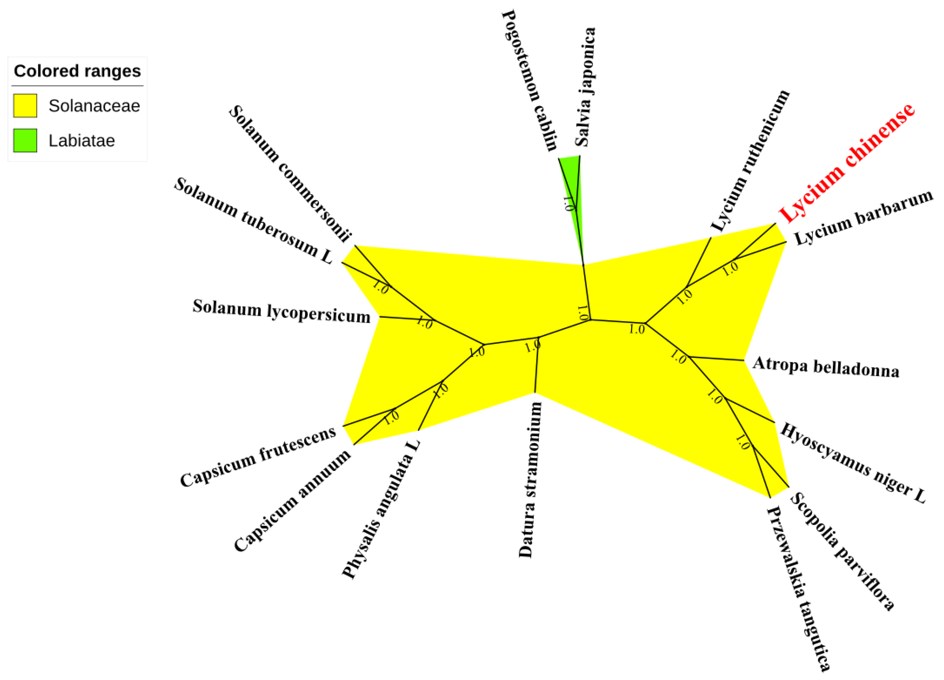Plants 08 00087 g006
