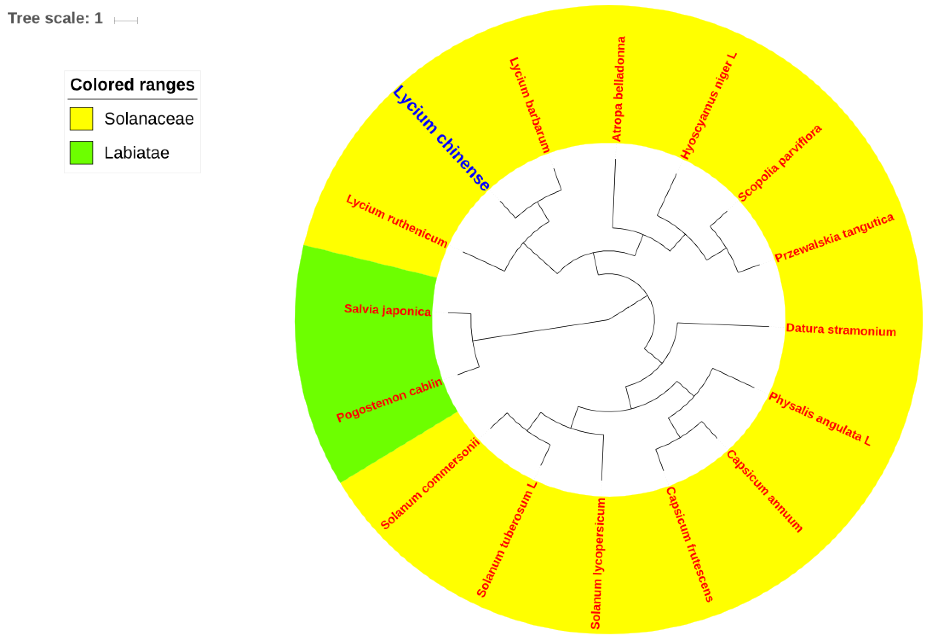 Plants 08 00087 g007