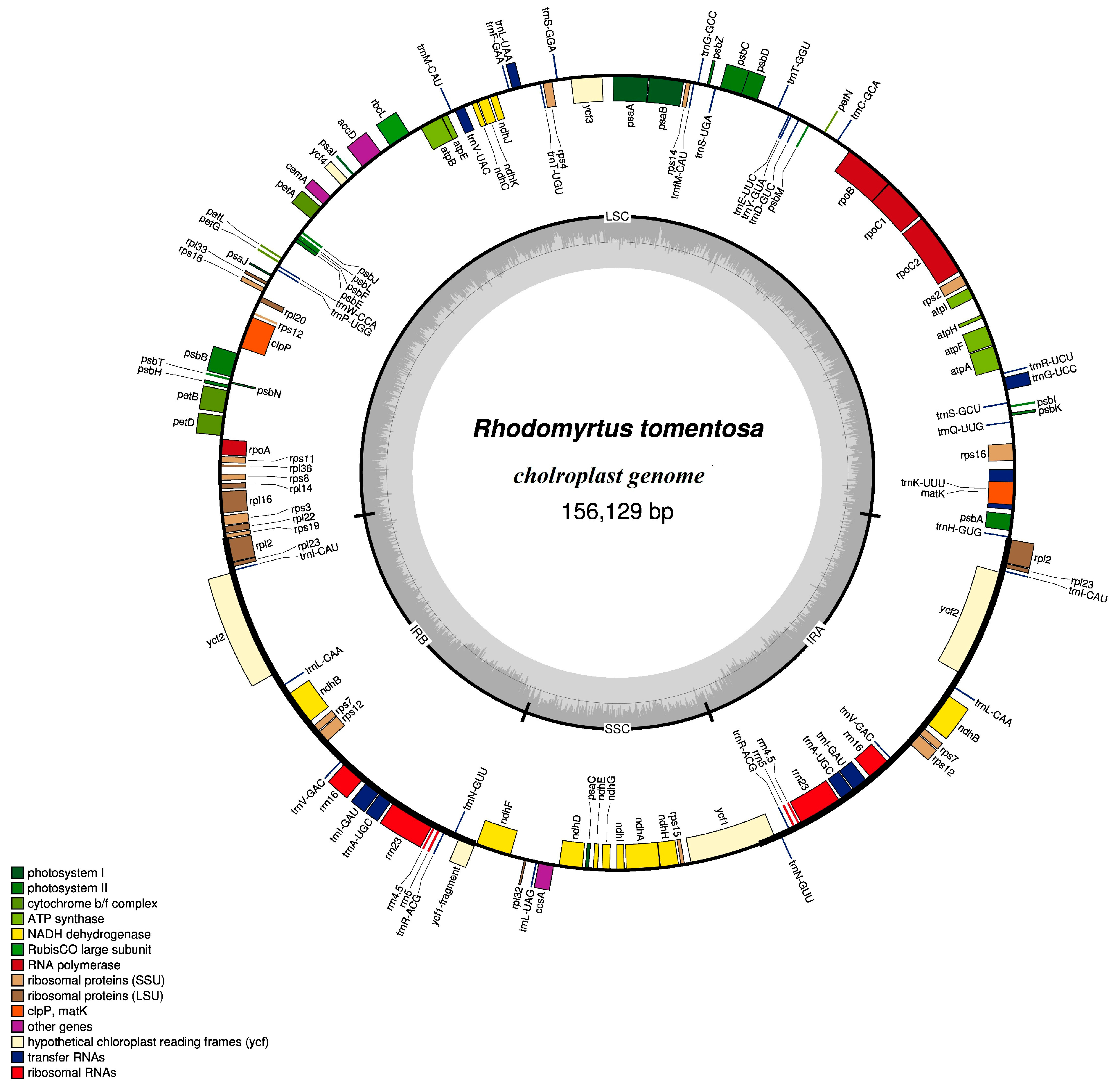 Plants 08 00089 g001