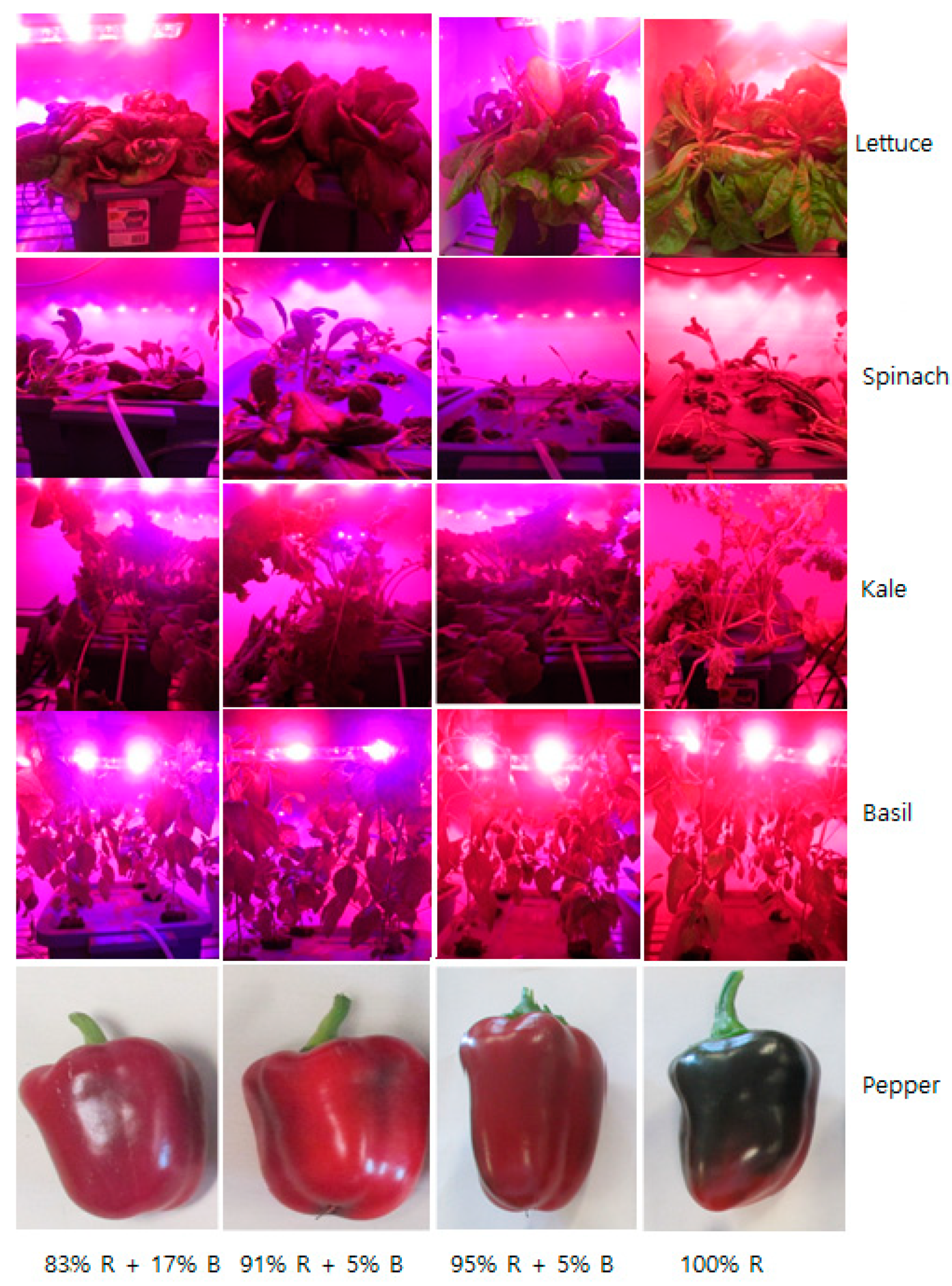 Plants 08 00093 g001