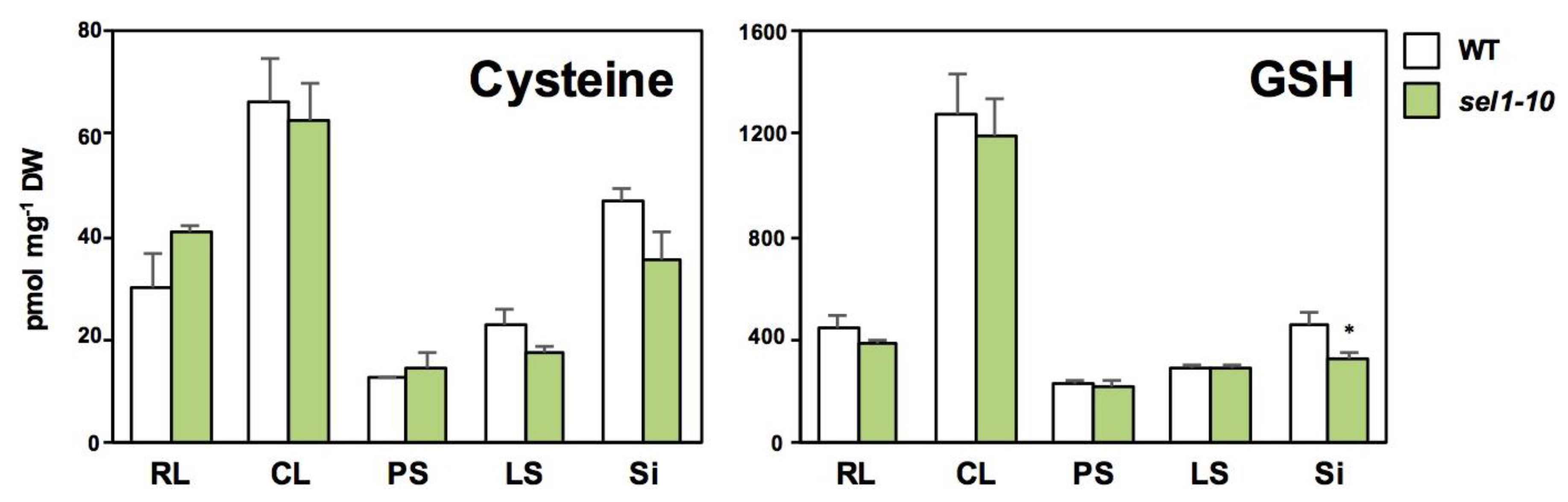 Plants 08 00095 g003 Plants 08 00095 g003