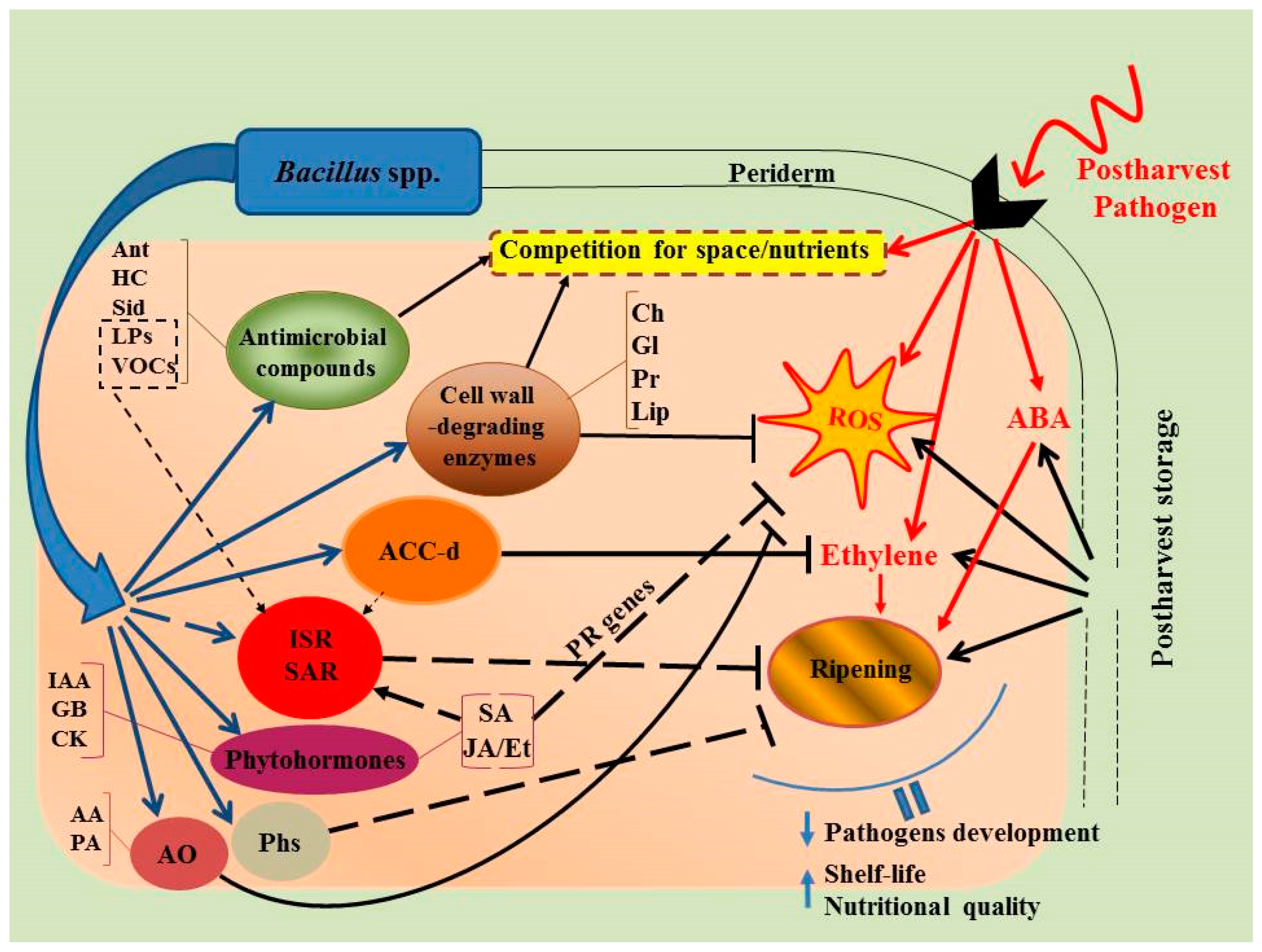 Plants 08 00097 g001