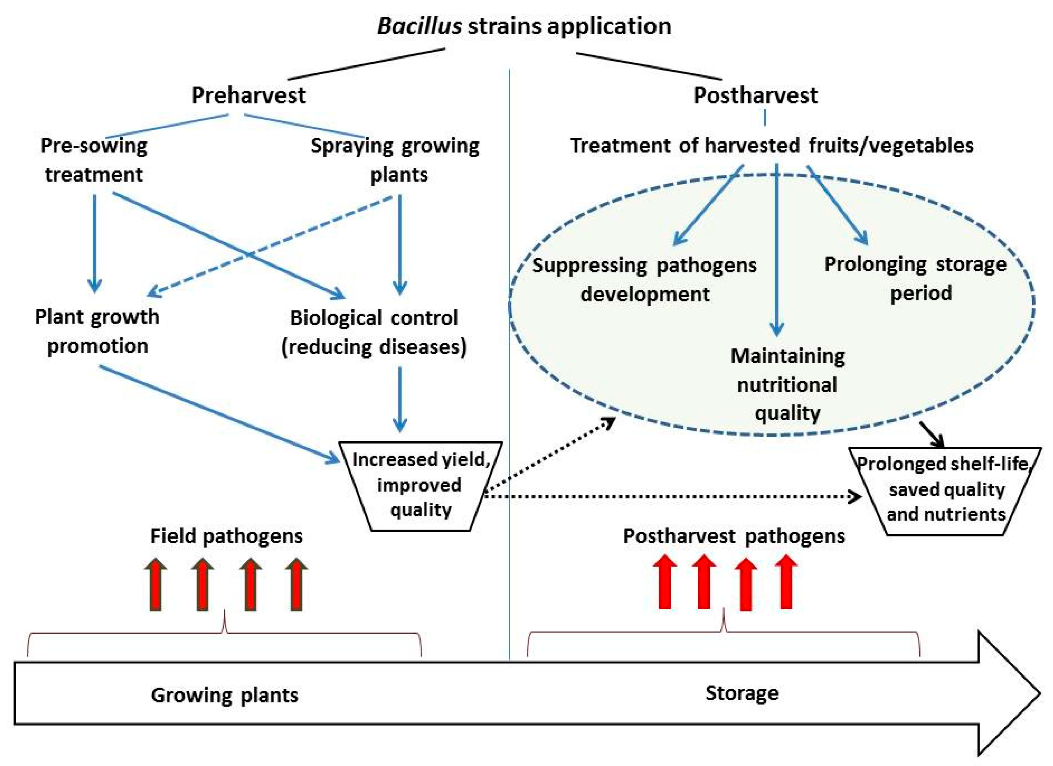 Plants 08 00097 g002