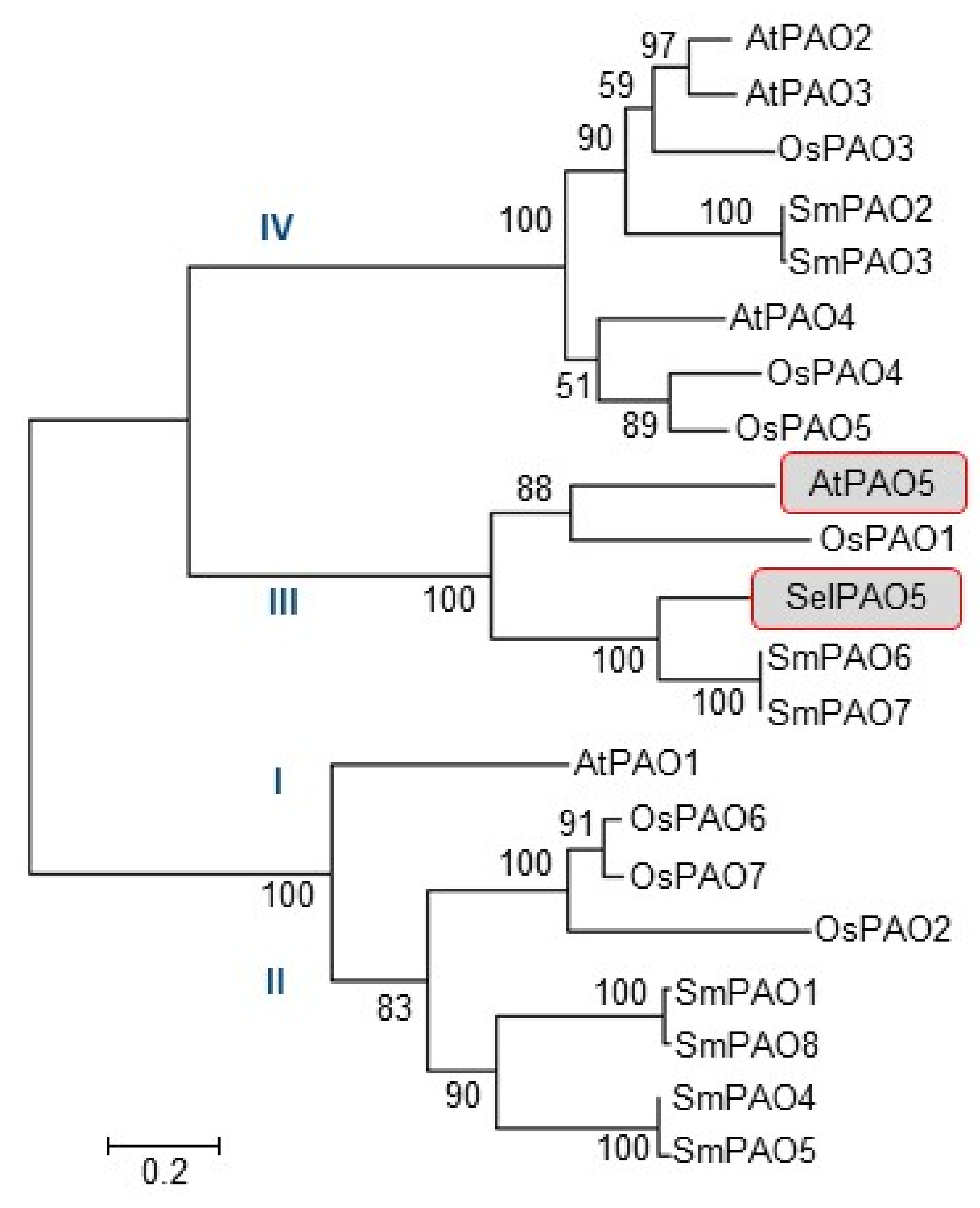 Plants 08 00099 g001 Plants 08 00099 g001