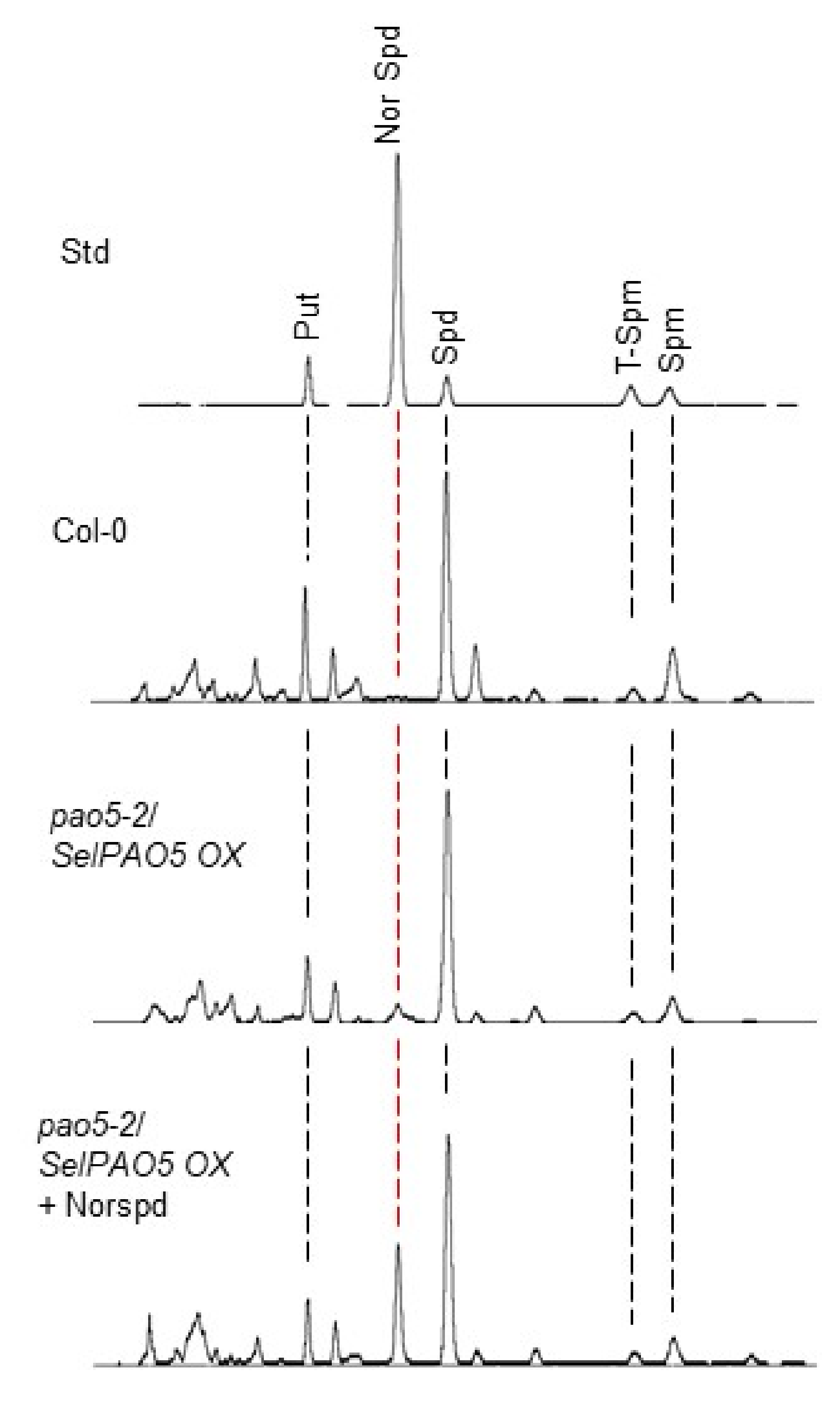 Plants 08 00099 g003 Plants 08 00099 g003