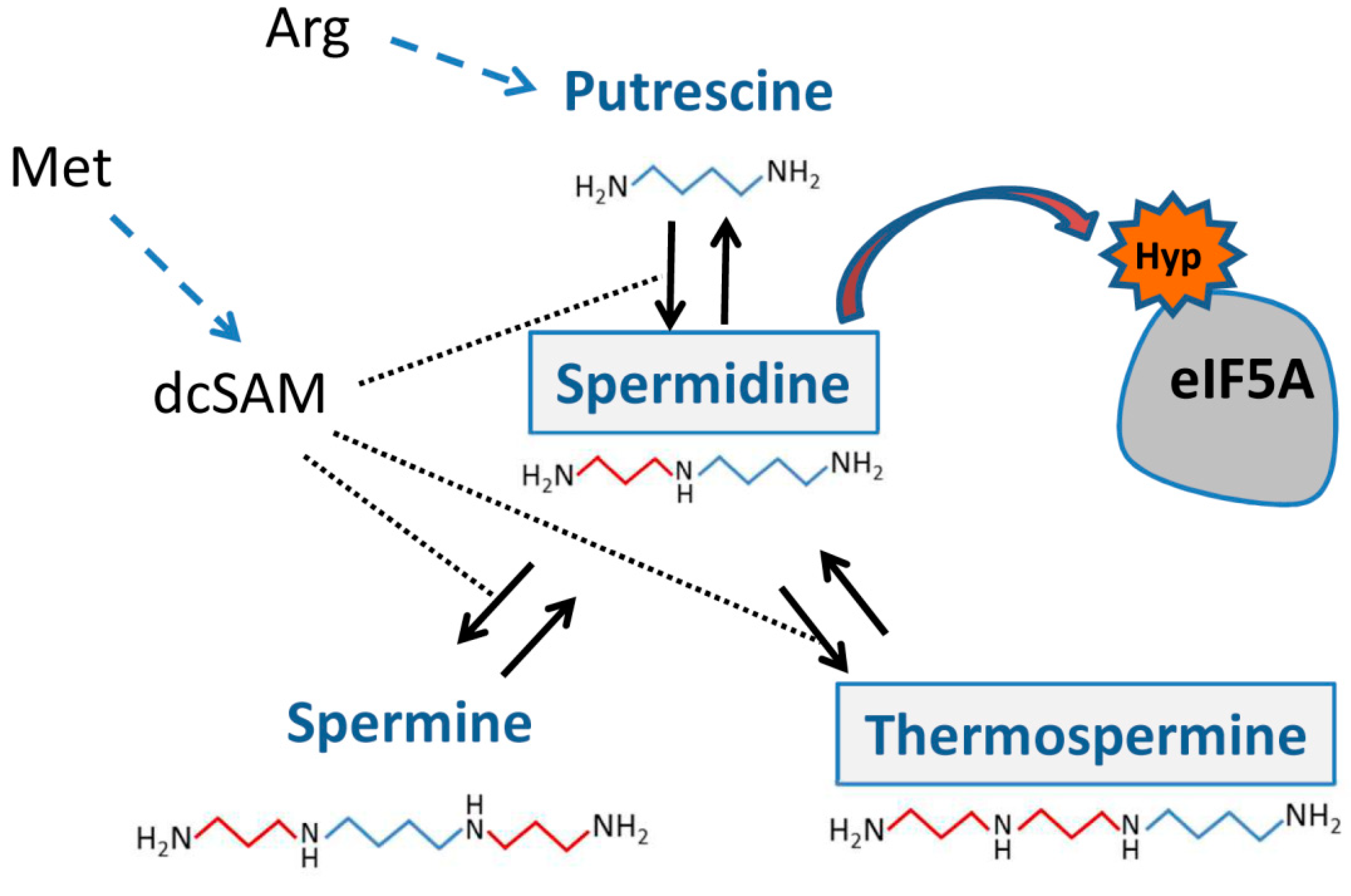 Plants 08 00109 g001