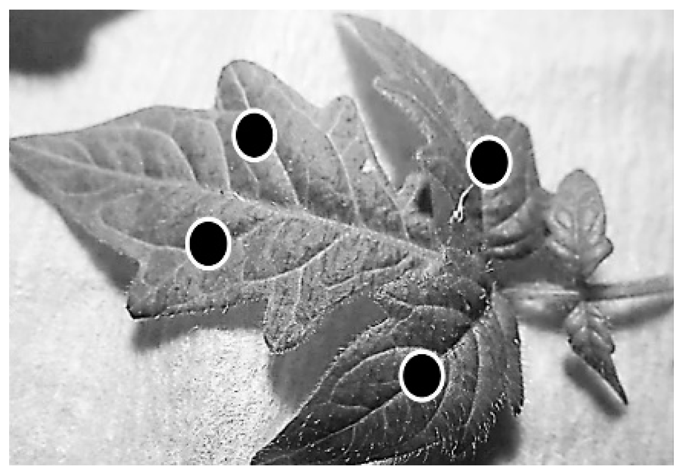 Plants 08 00111 g007