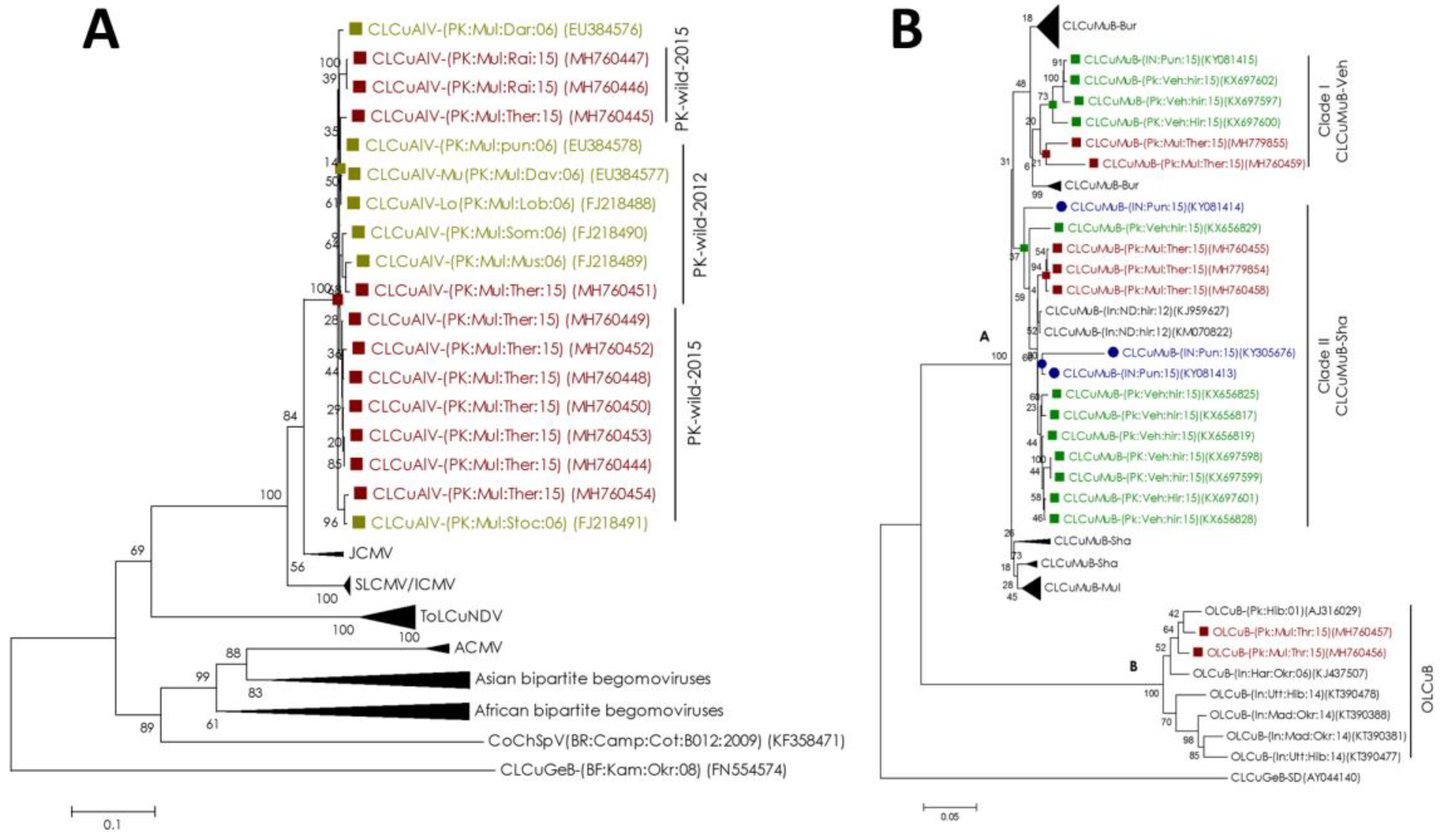 Plants 08 00127 g003