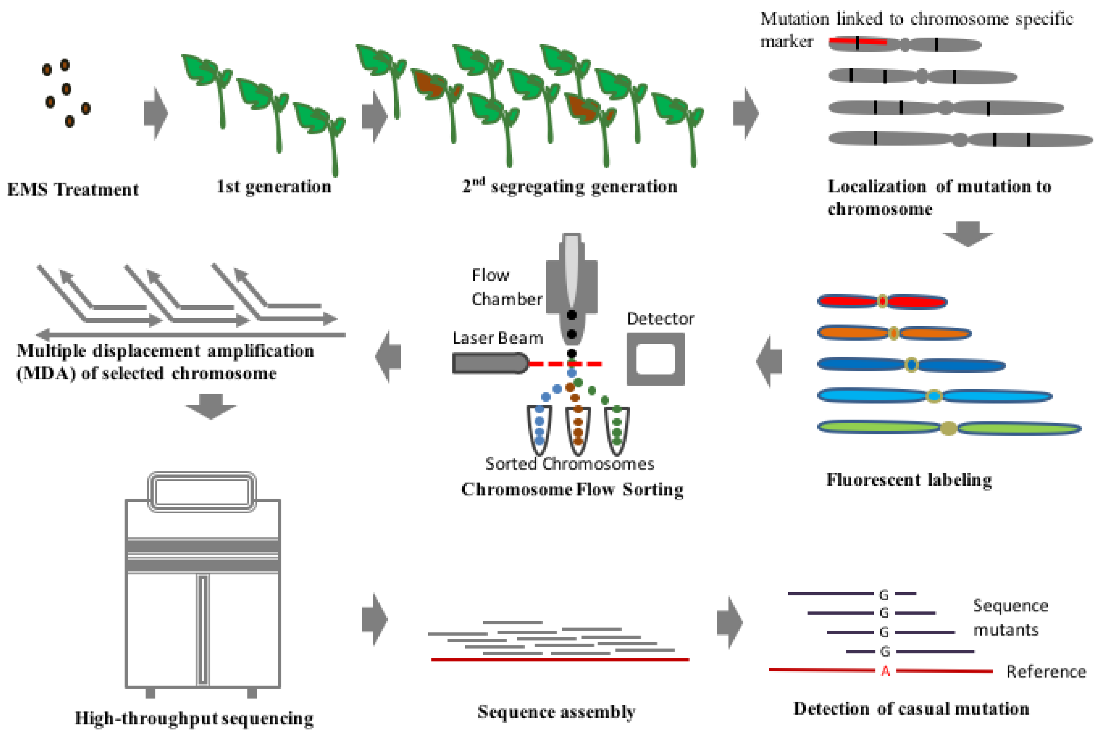Plants 08 00128 g002 Plants 08 00128 g002