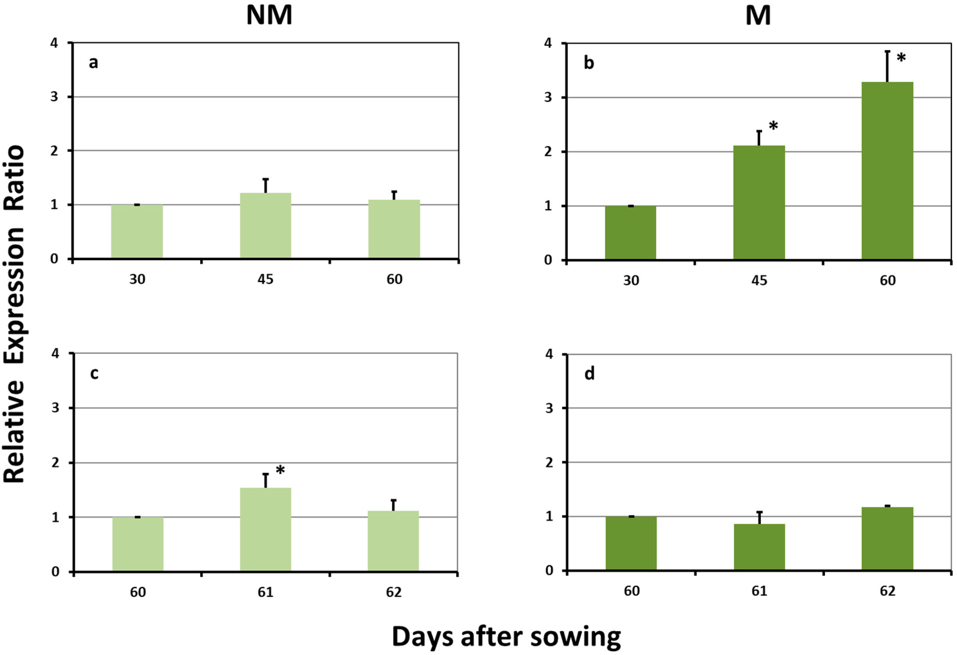 Plants 08 00133 g001