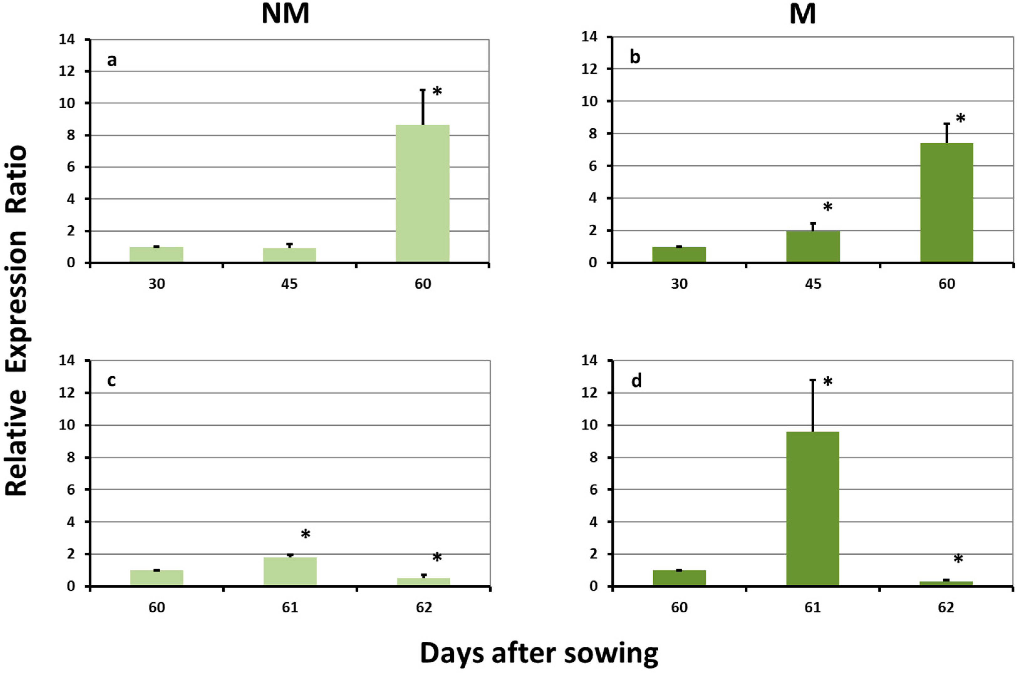 Plants 08 00133 g002