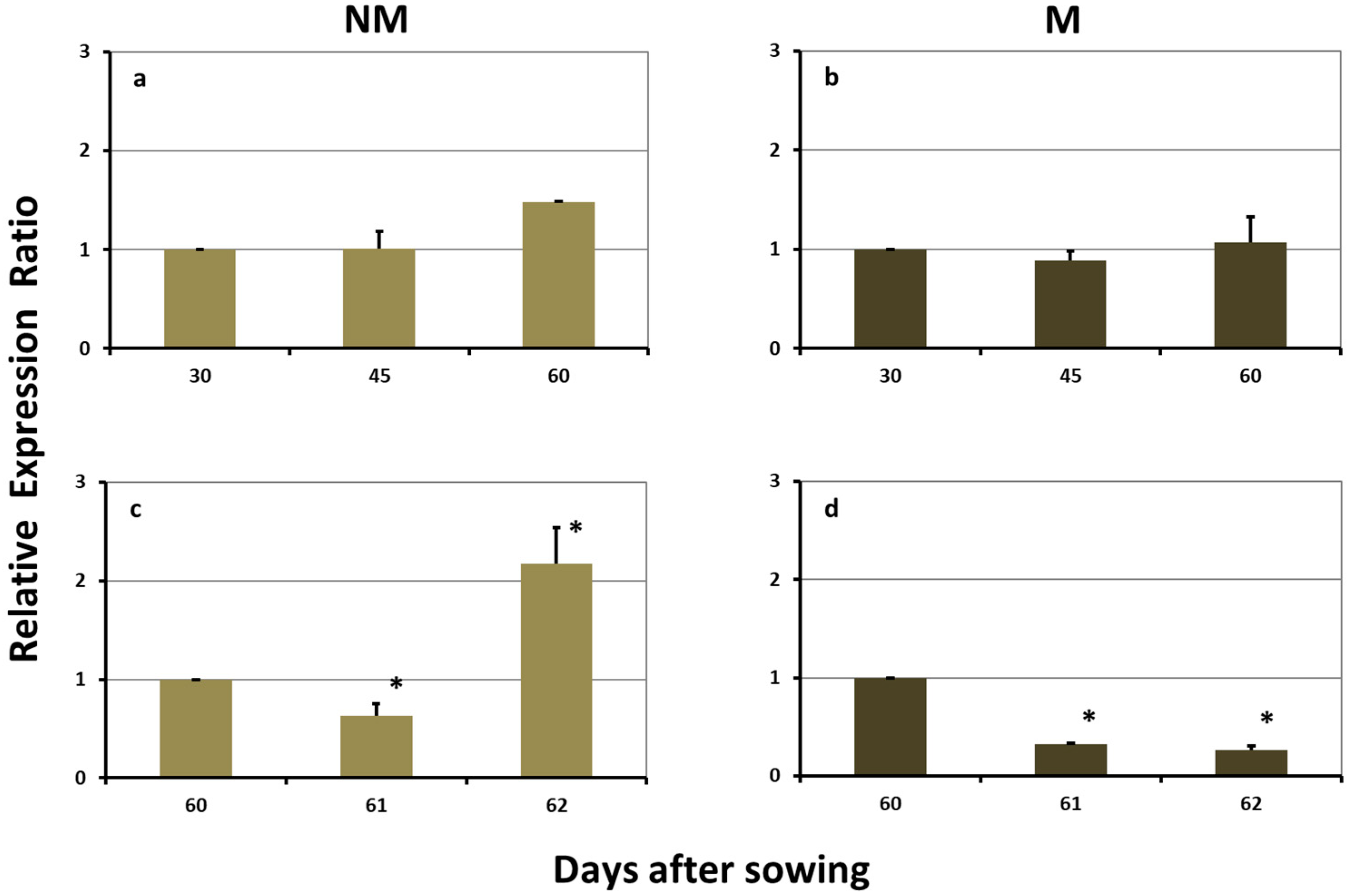 Plants 08 00133 g004