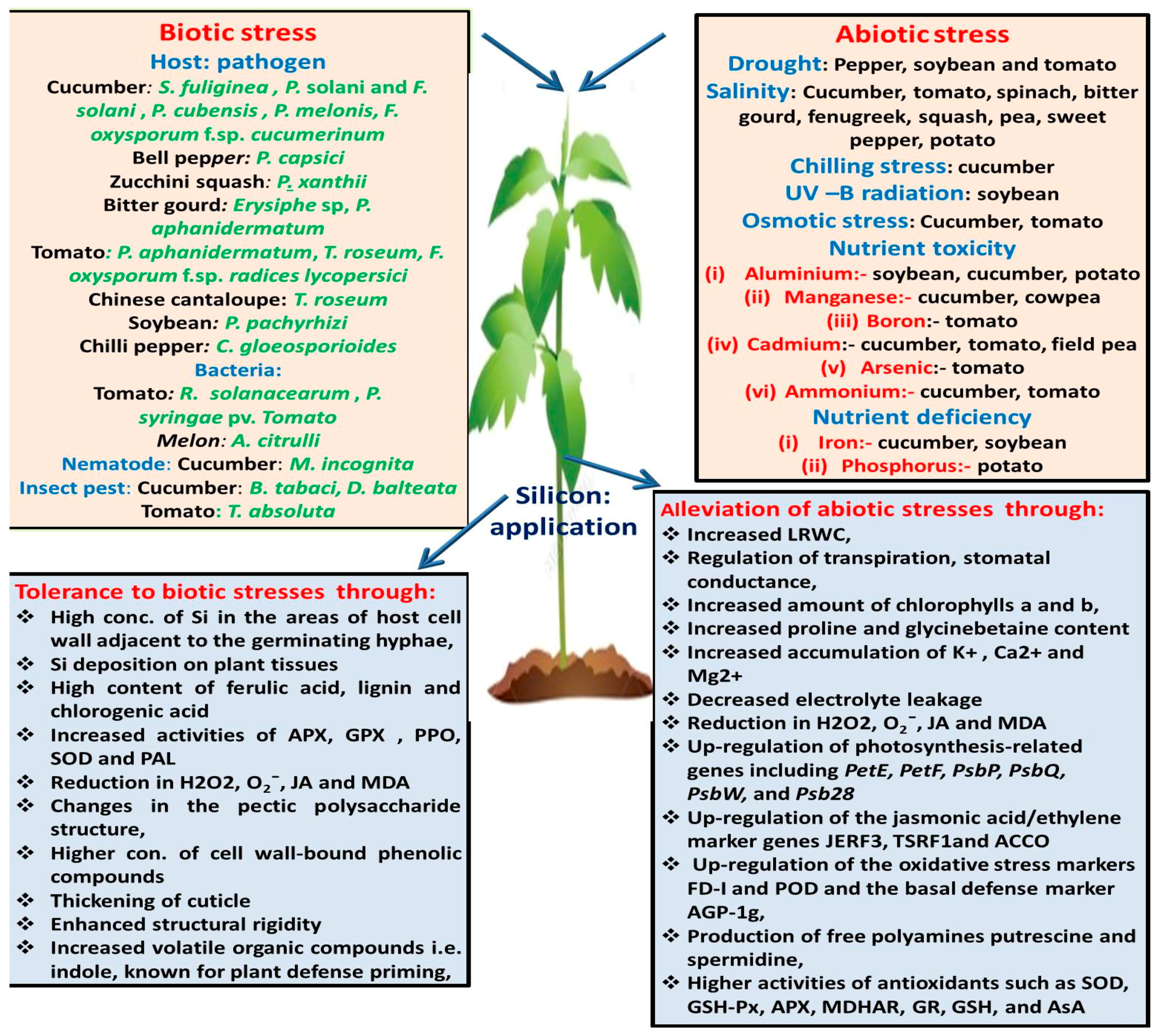 Plants 08 00148 g001