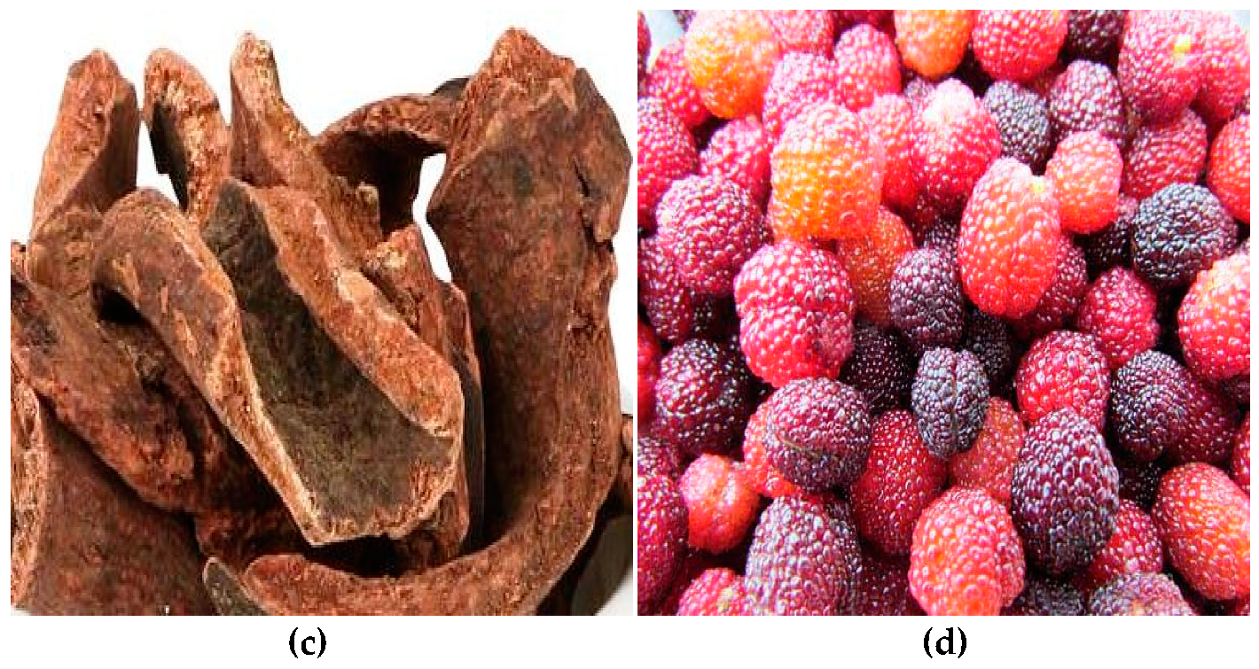 Plants 08 00149 g003b