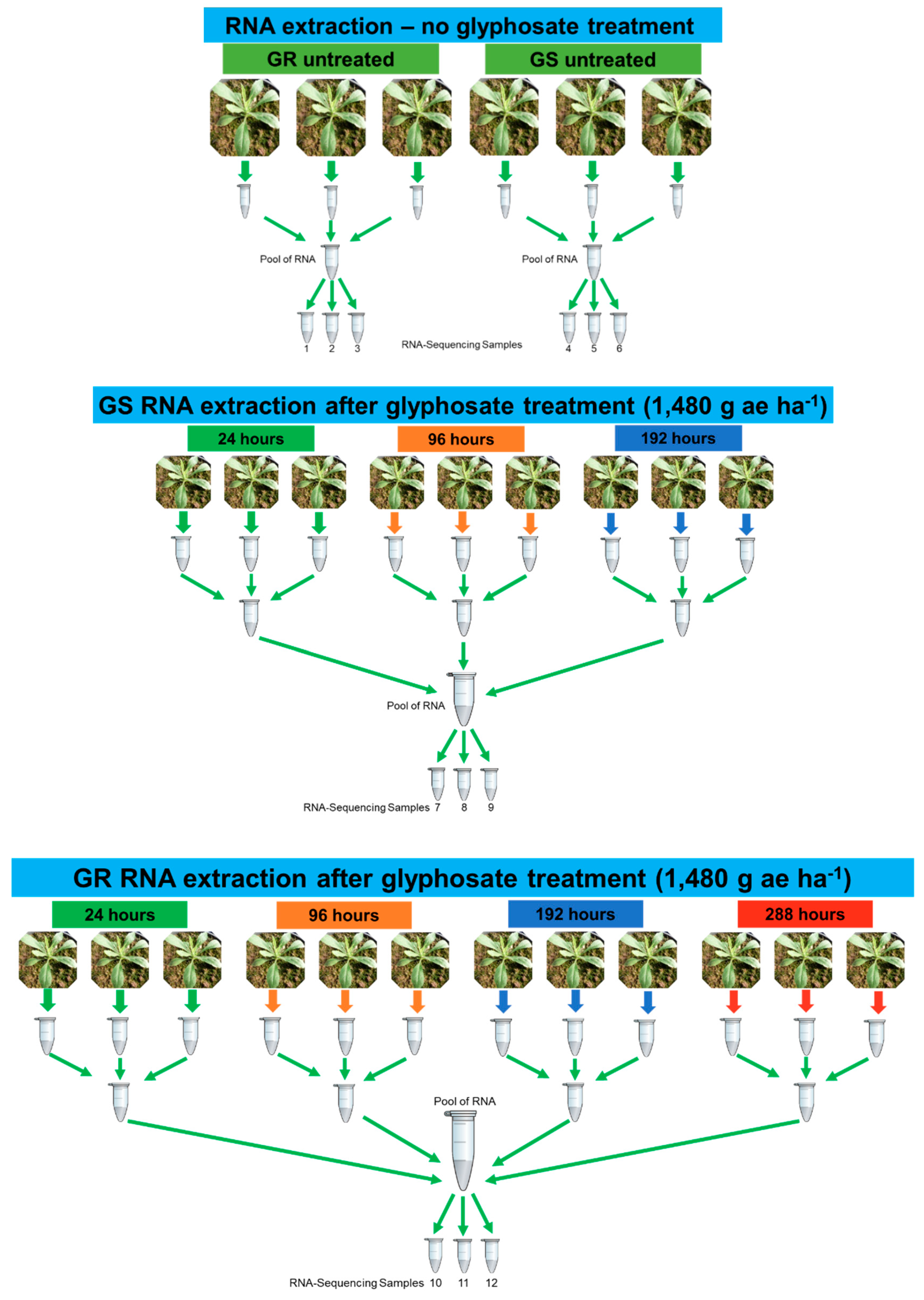 Plants 08 00157 g009
