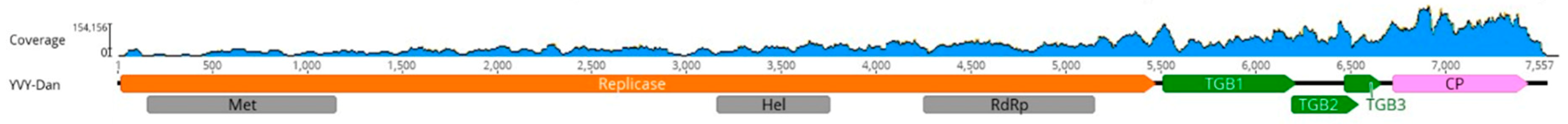 Plants 08 00167 g001