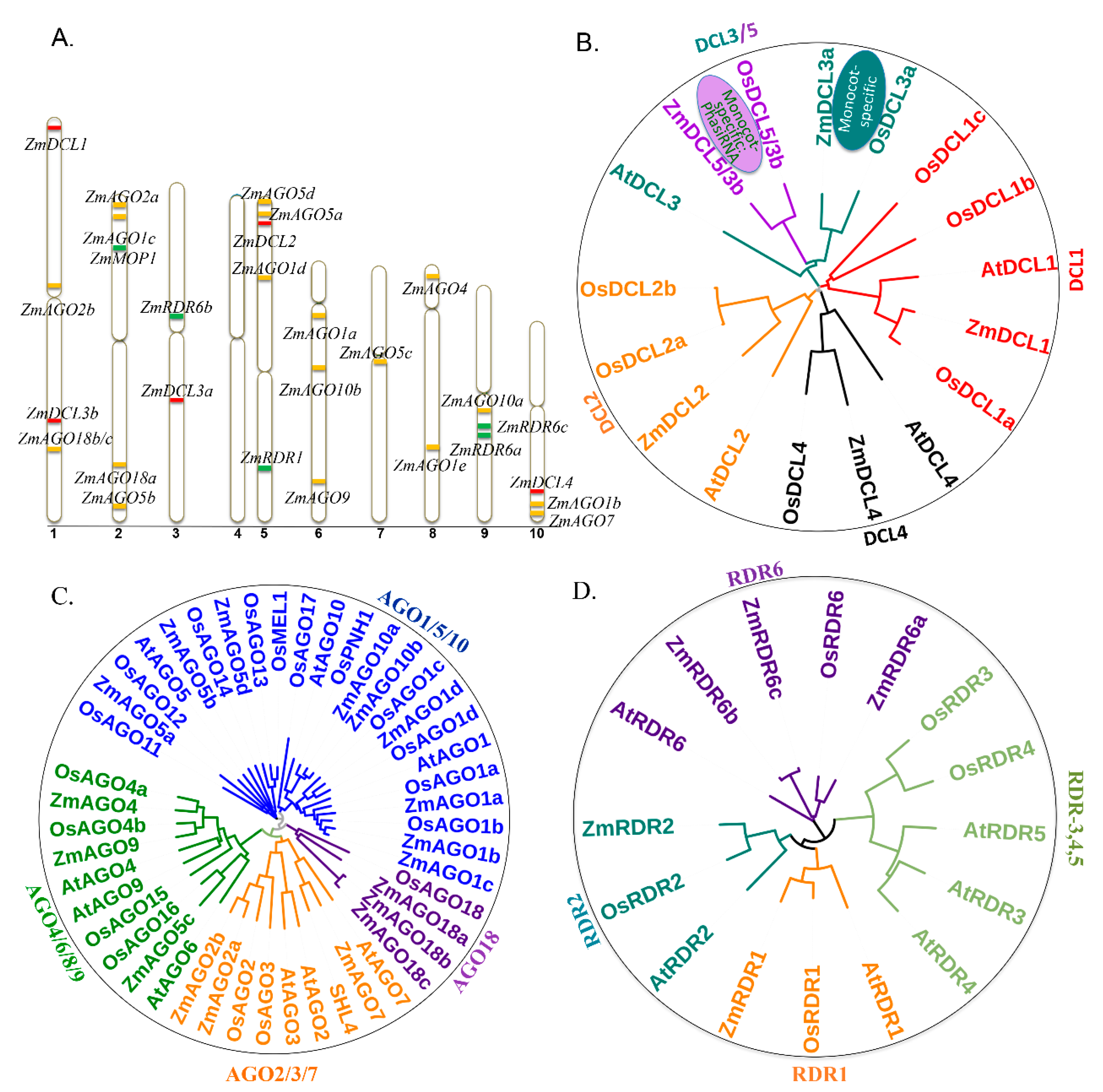 Plants 08 00170 g003